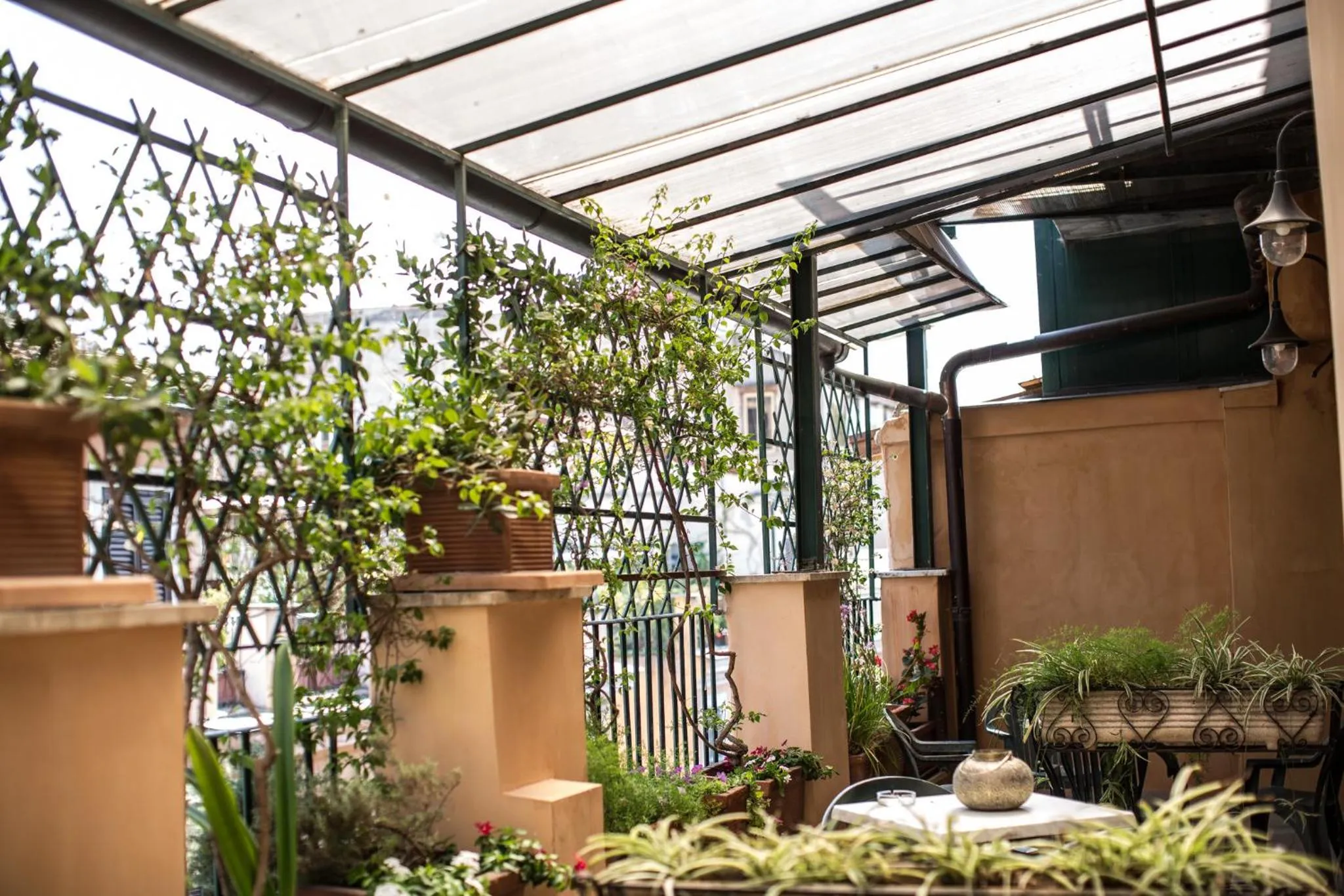 Balcony/Terrace in Hotel Grifo