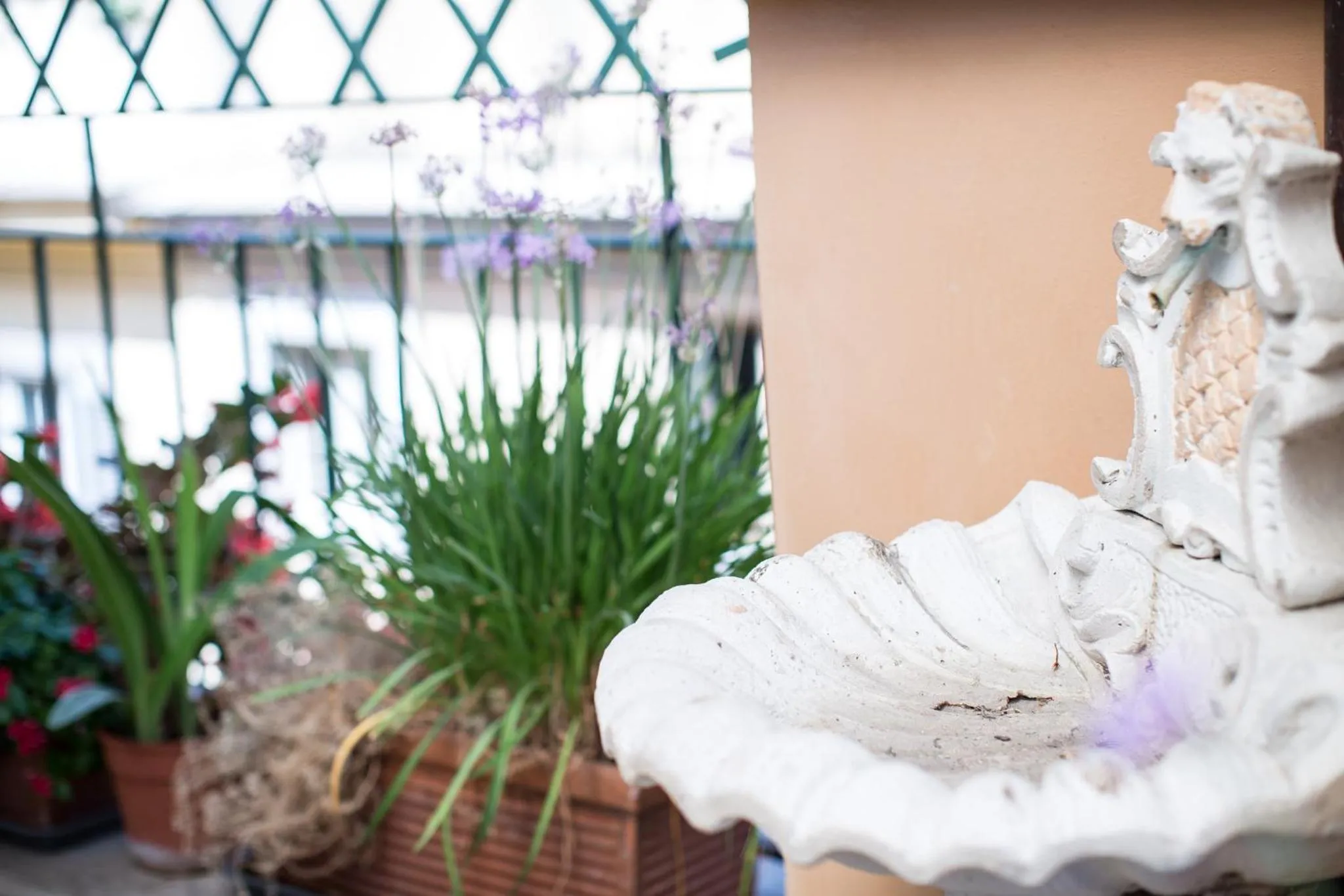 Balcony/Terrace in Hotel Grifo