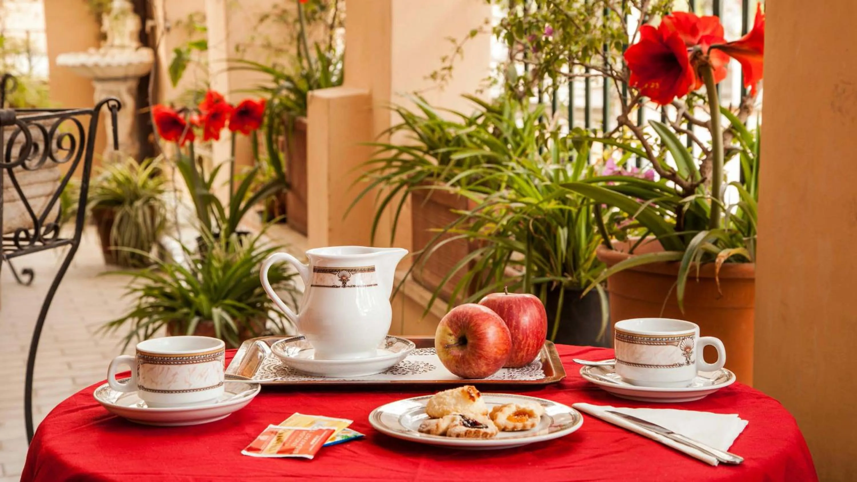 Balcony/Terrace in Hotel Grifo
