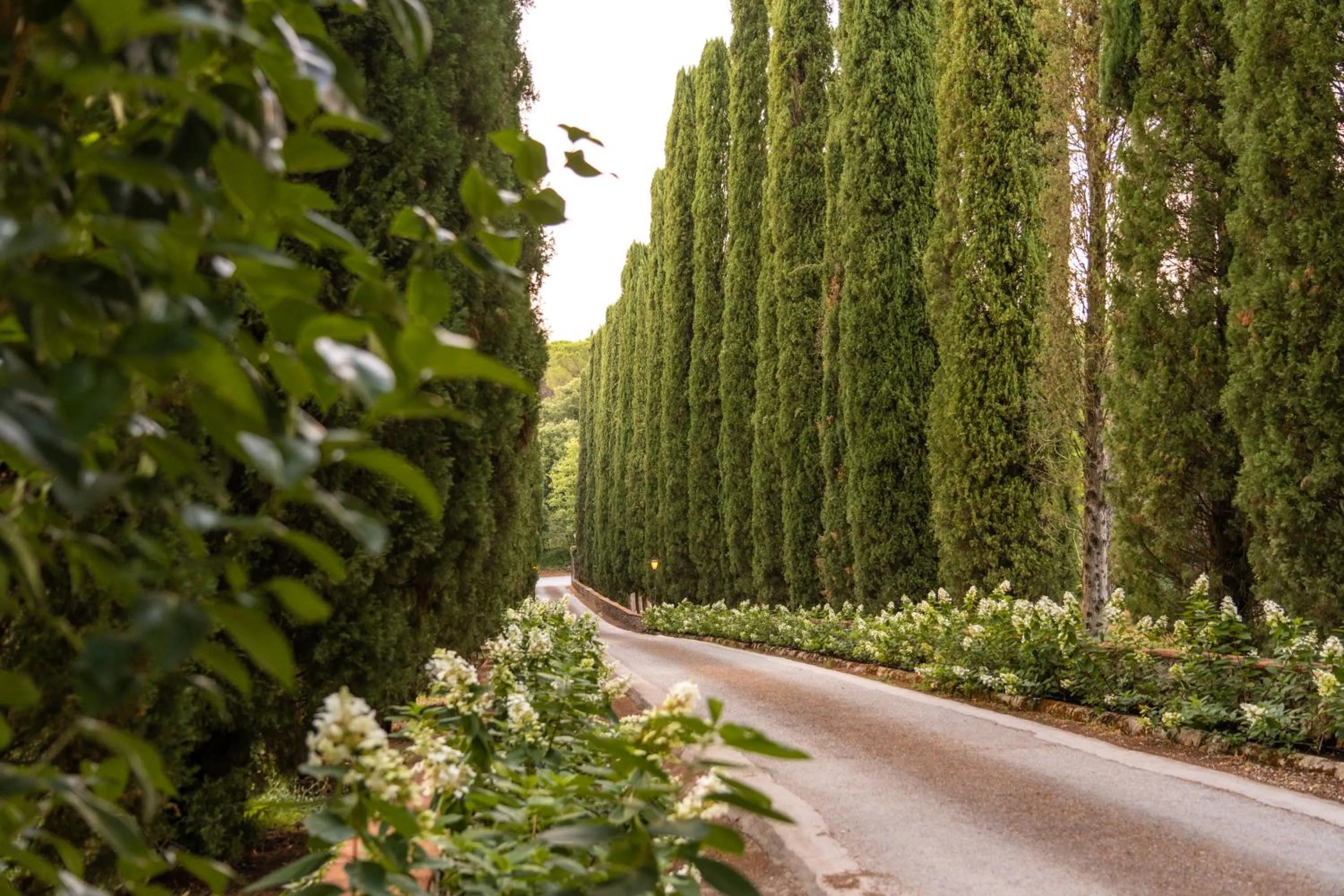 Property building in Borgo San Luigi