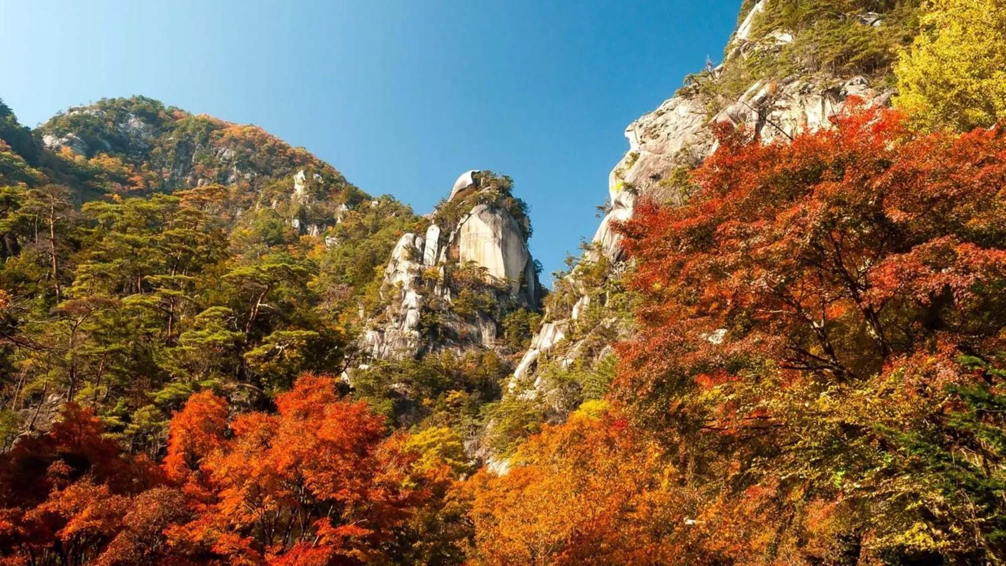 Nearby landmark in Toyoko Inn Kofu eki Minami guchi No 1
