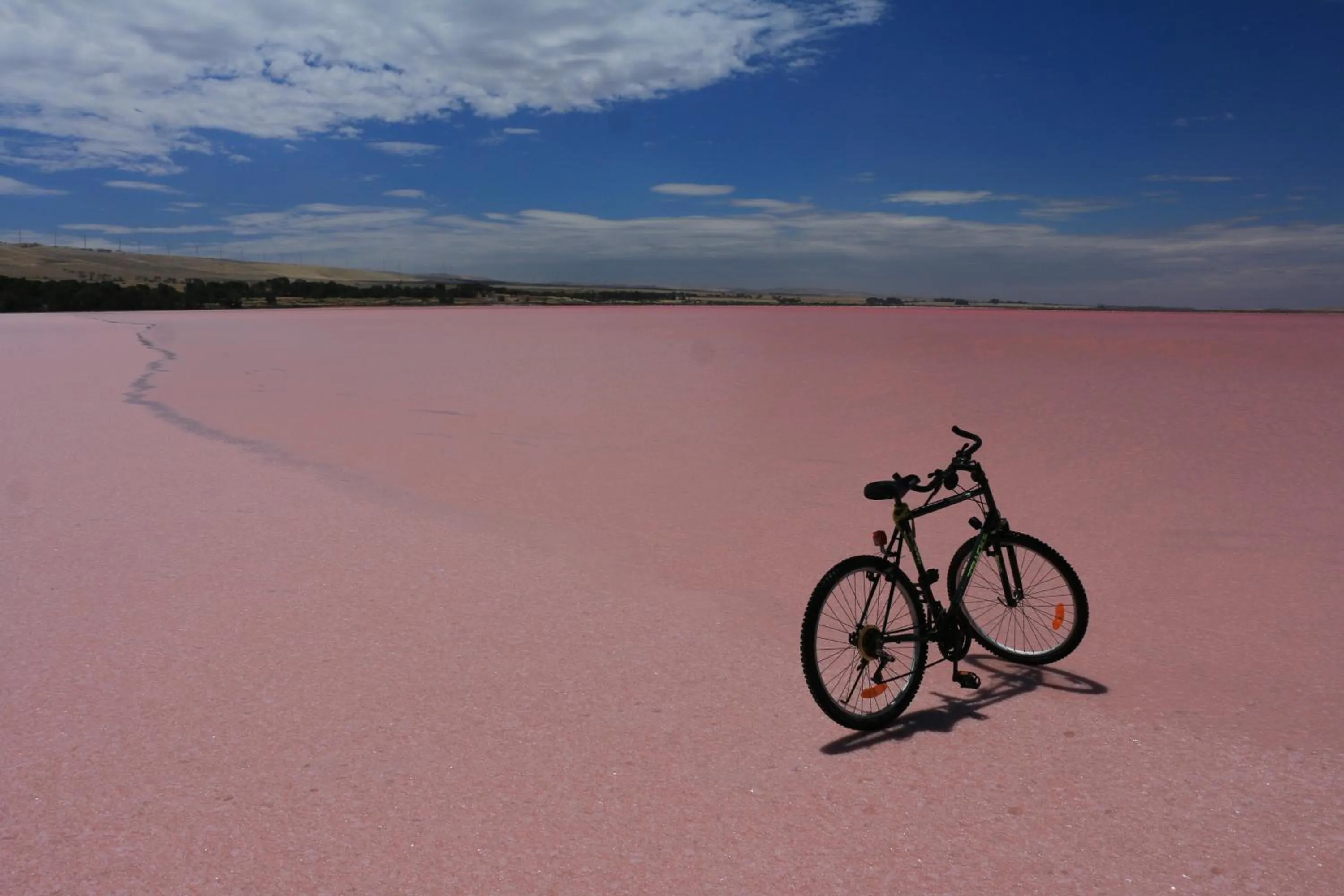 Lake view in Pink Lake Tiny House - 'Peony'