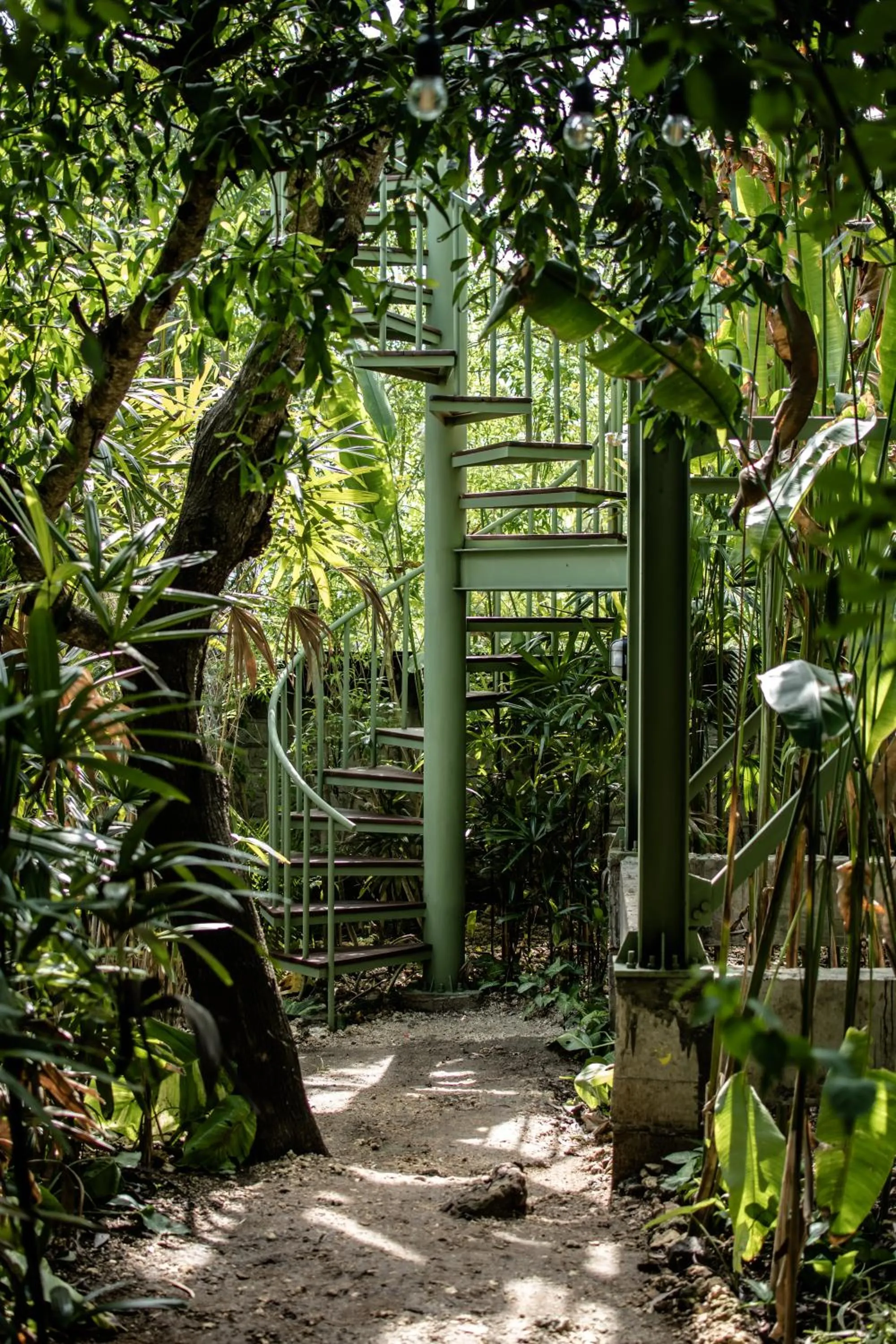 Garden in Salty Breeze Bali