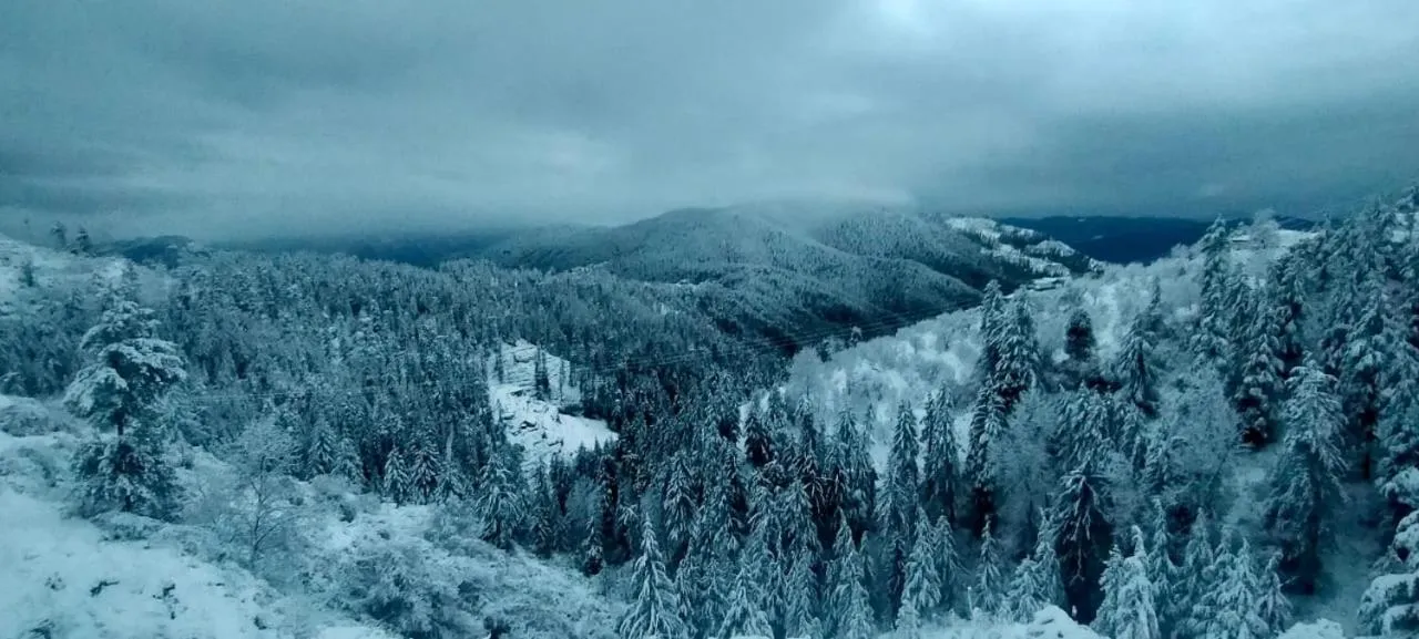 Property building in Jomotel Talai