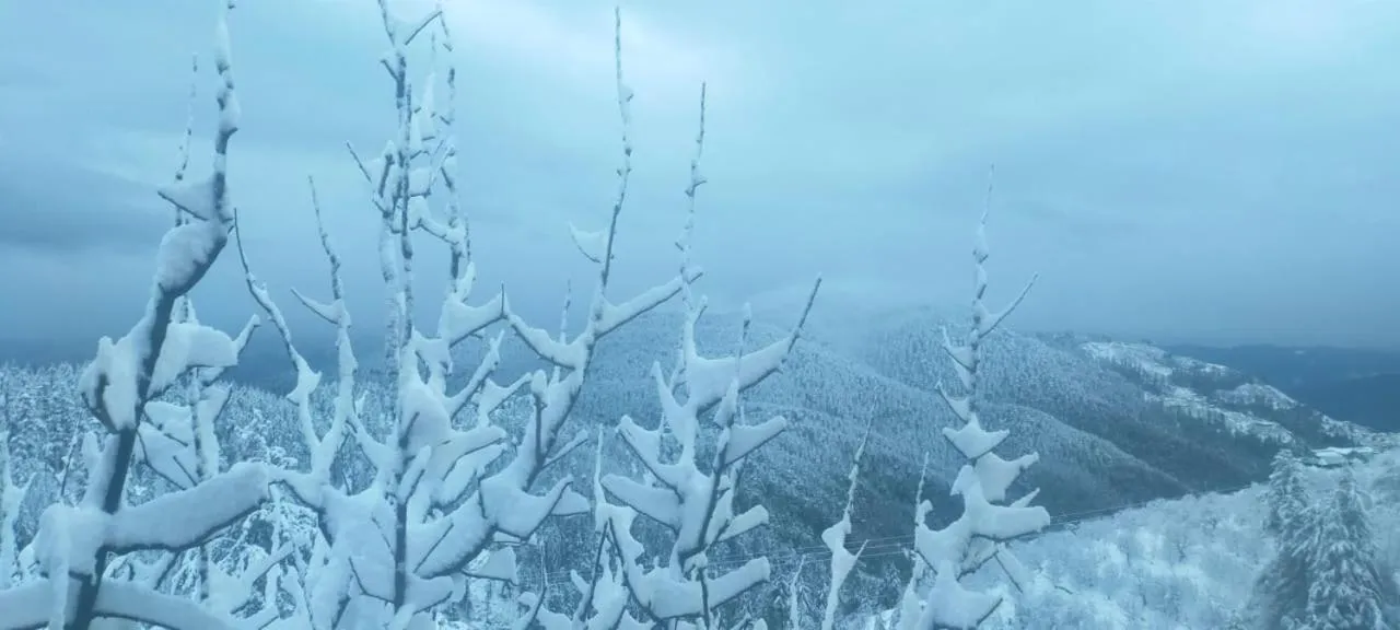 Property building in Jomotel Talai