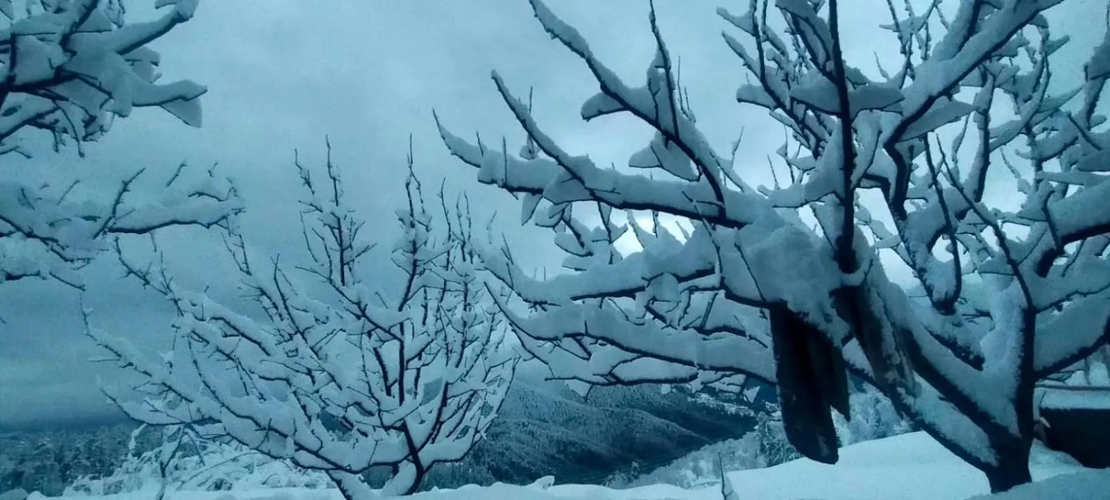 Property building in Jomotel Talai