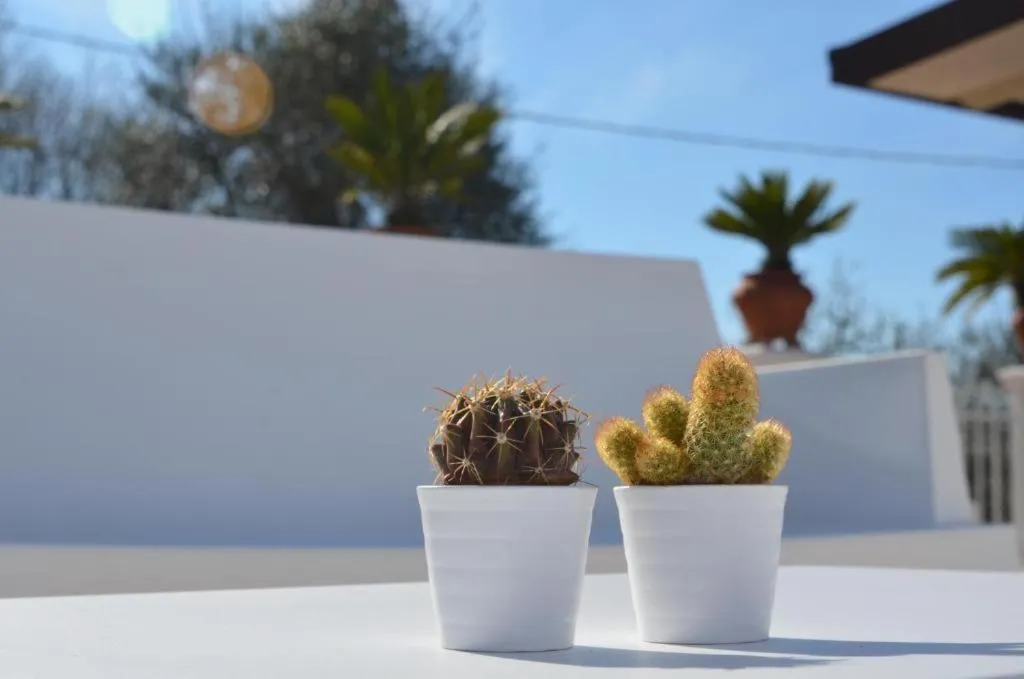 Day in Residence Le Terrazze