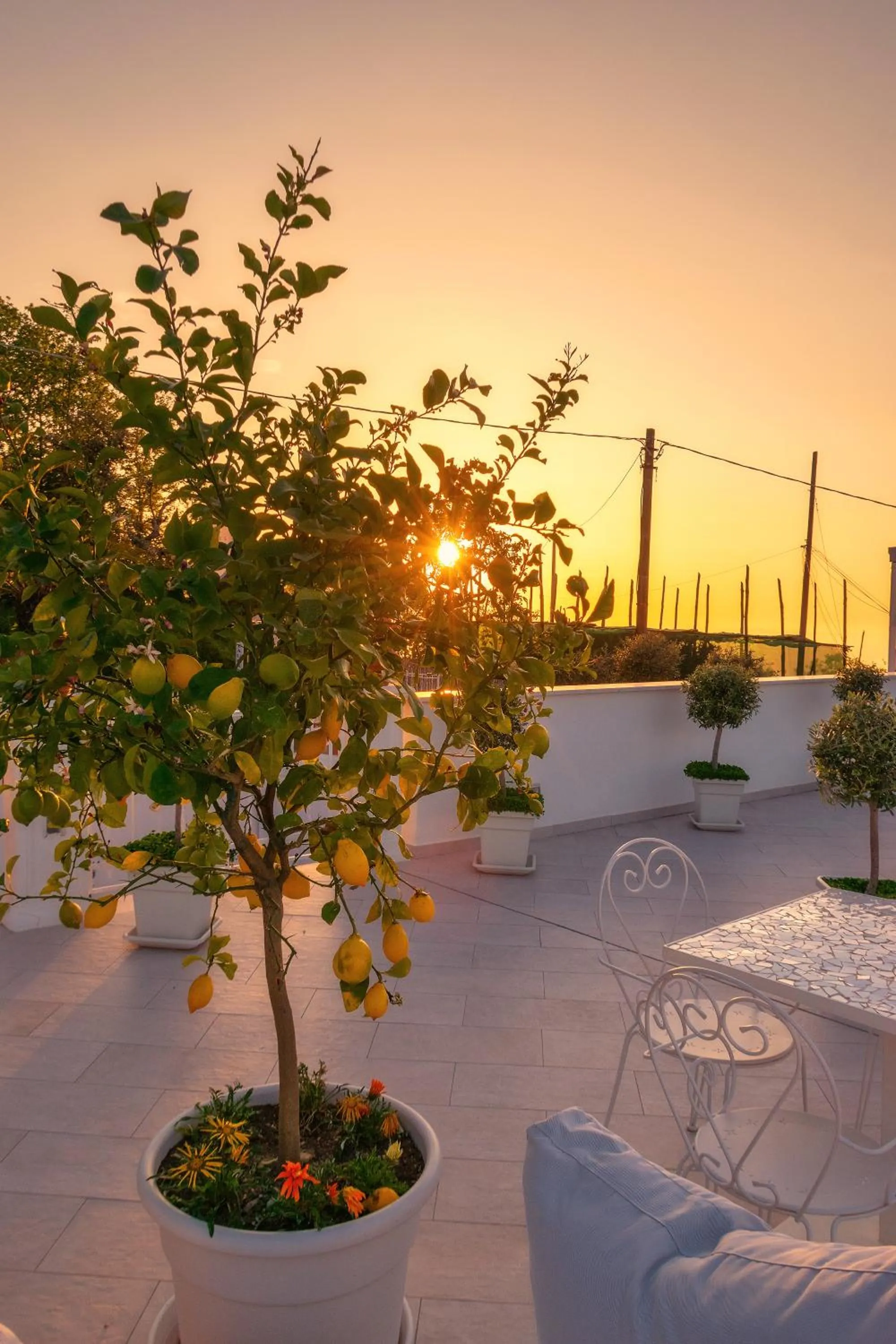 Day in Residence Le Terrazze