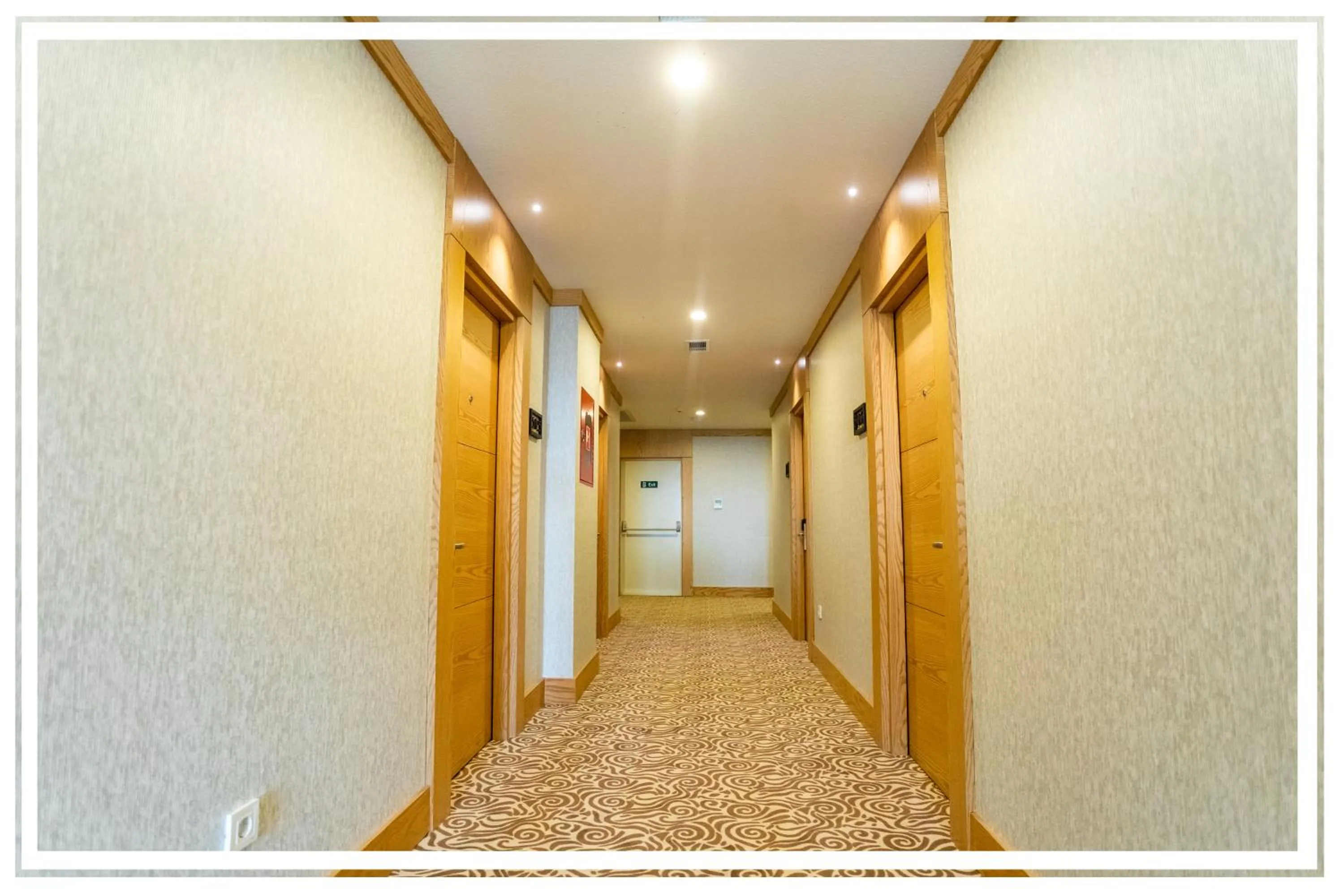 Area and facilities in Premium Hotel Ganja