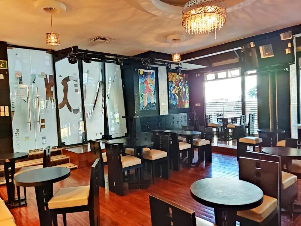 Lounge or bar in Hotel Mary Celaya