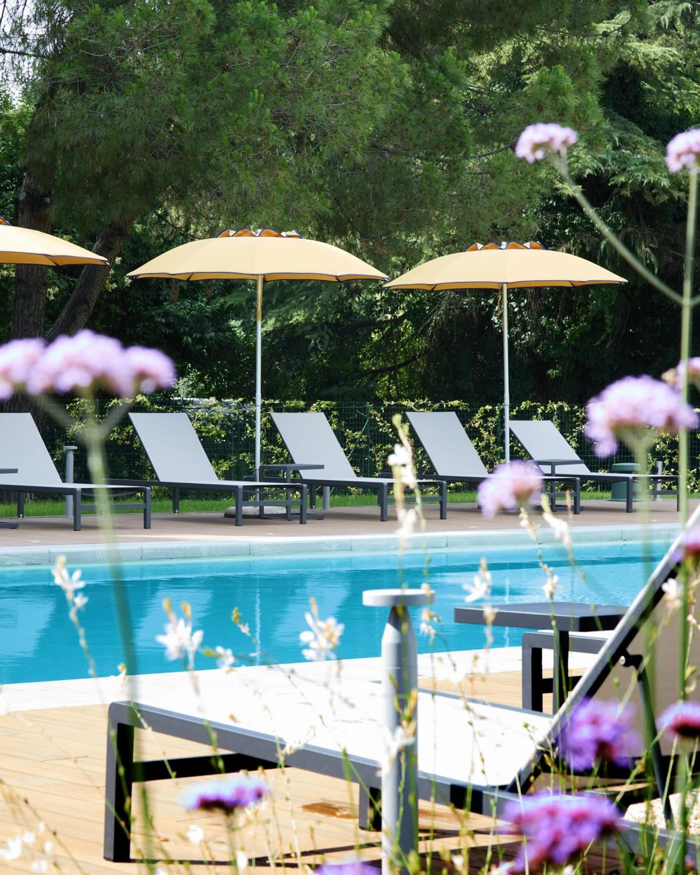 Garden in Belstay Venezia Mestre