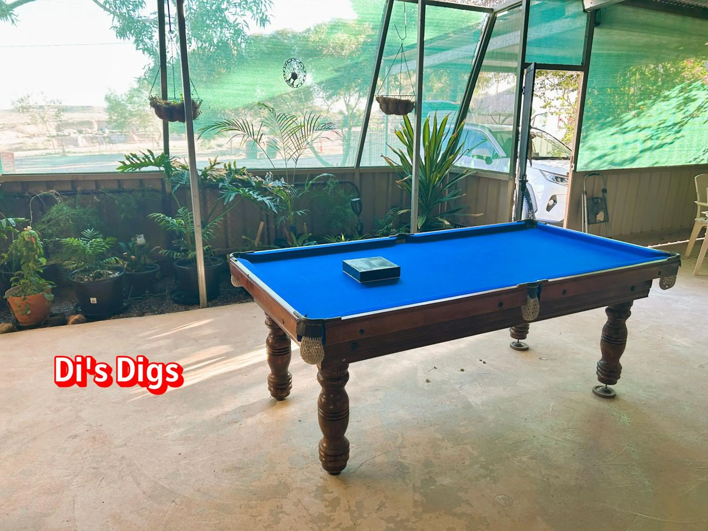 Entertainment in Di's Dugouts