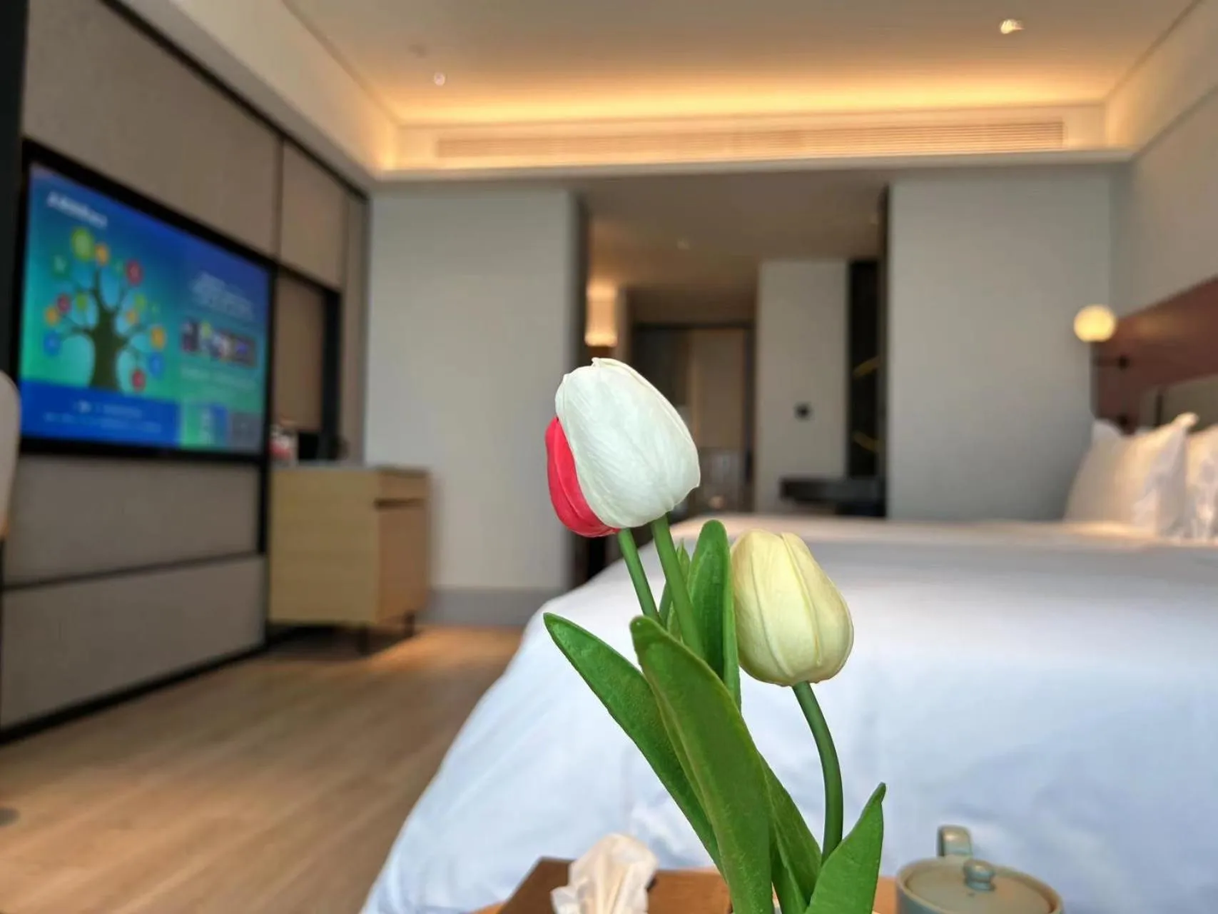 Photo of the whole room, Bed in Sunstone Plaza Hotel