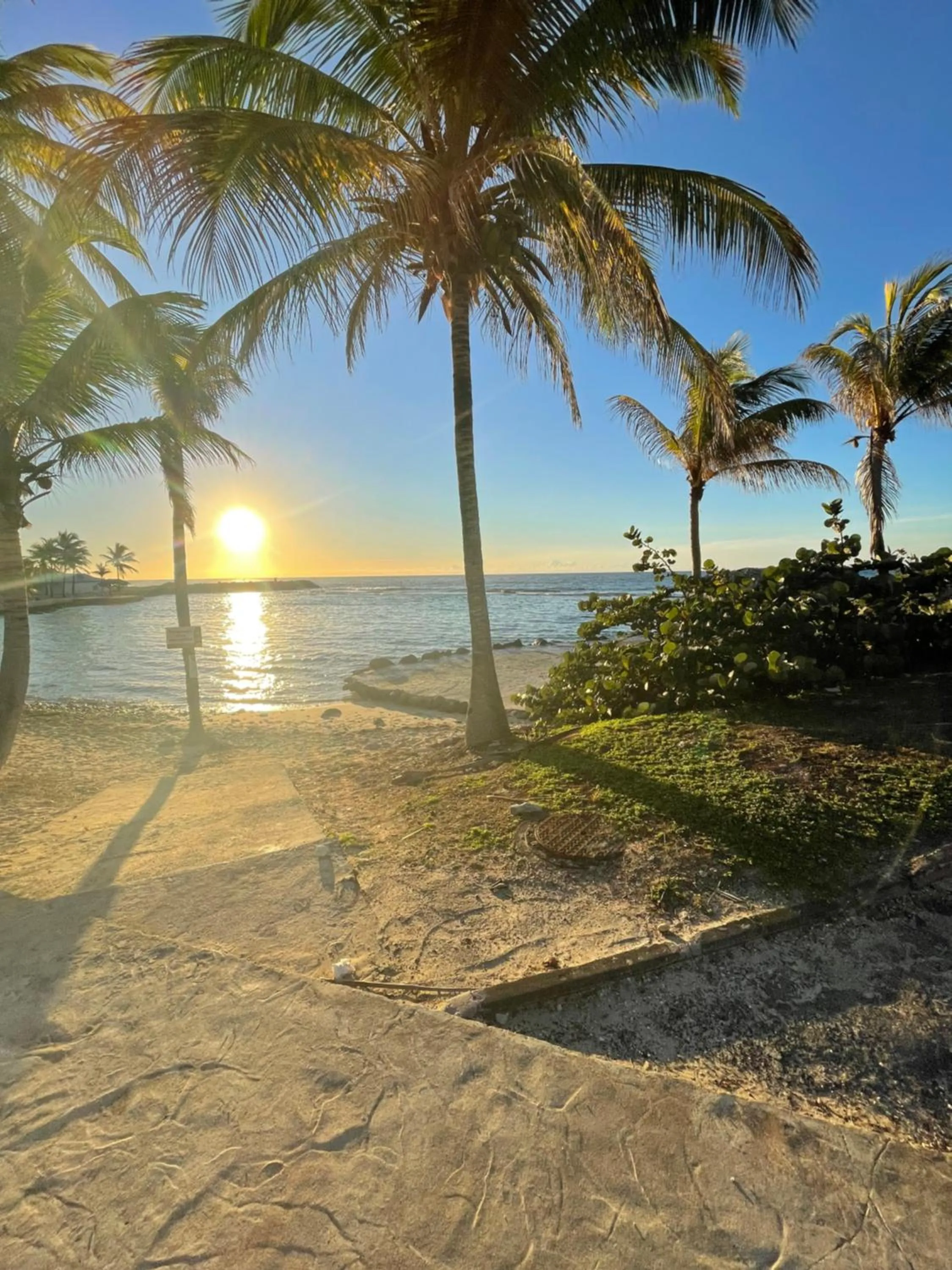 Studio 25 m Manganao Joela 4 personnes avec machine a laver