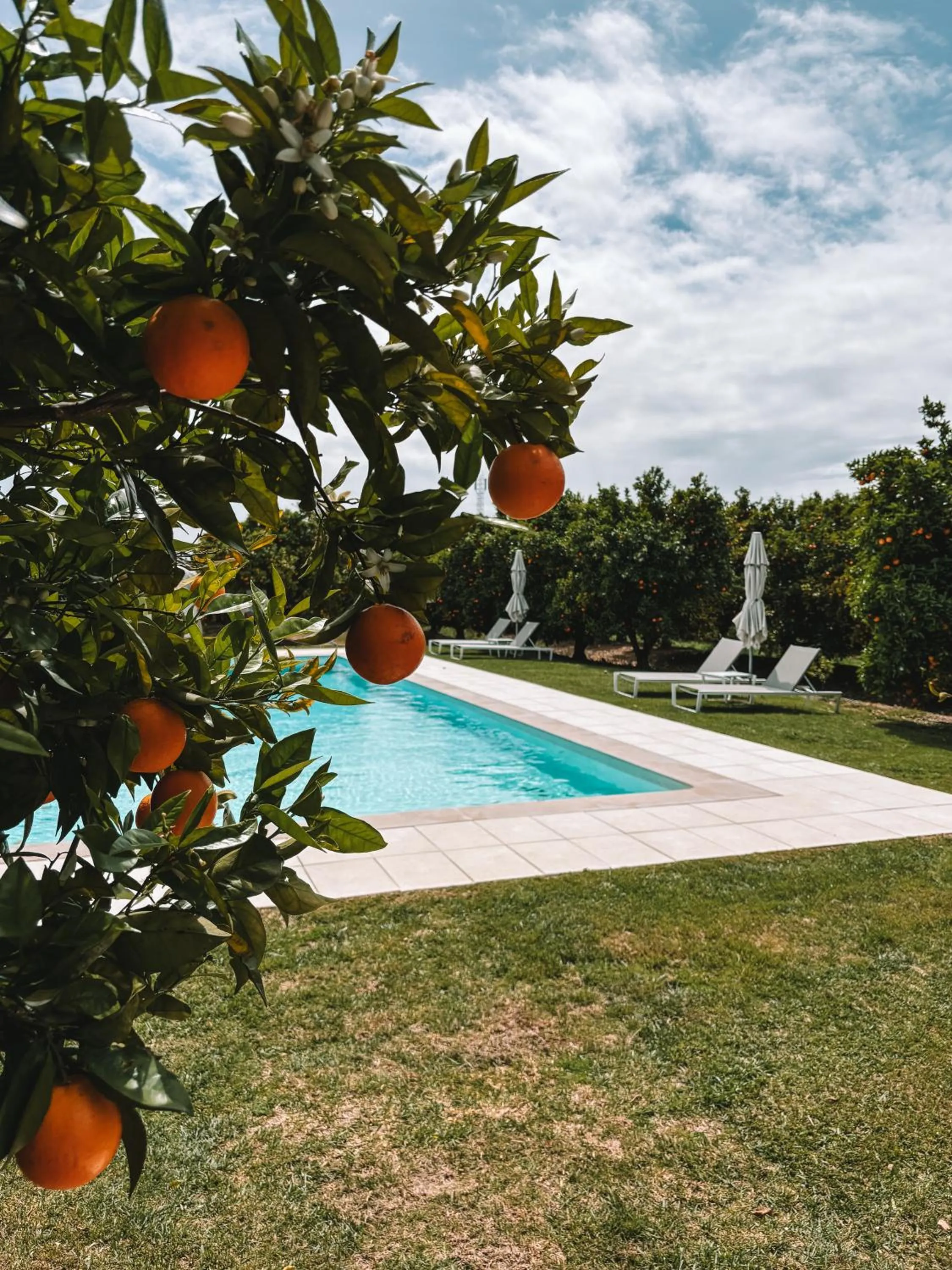 Swimming pool in Quinta Dos Perfumes