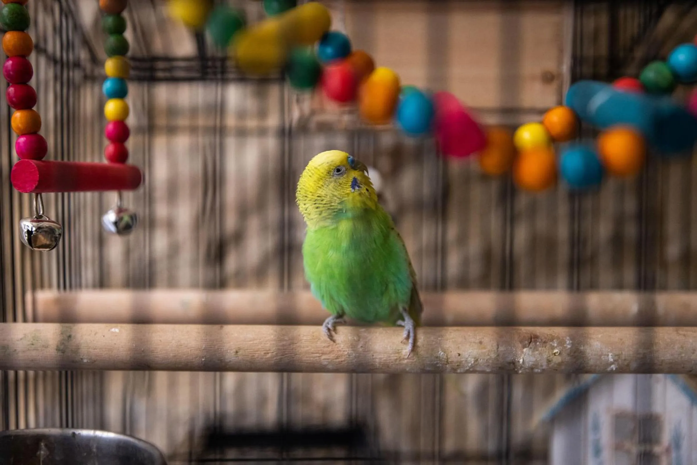 Inner courtyard view in AGORA' Castelnuovo della Daunia