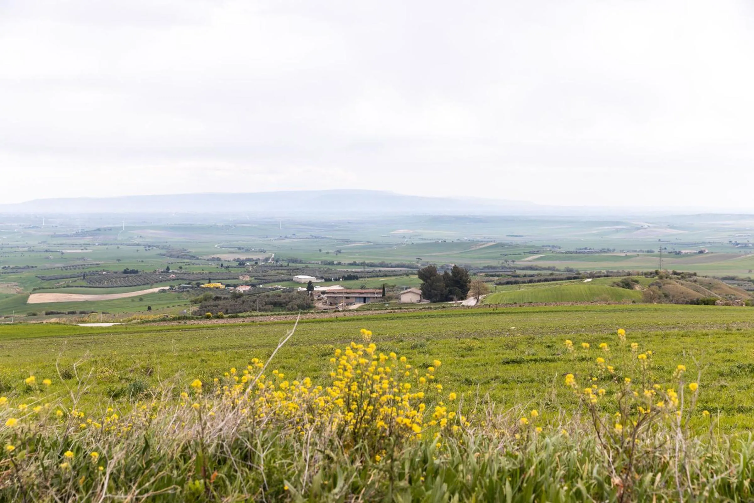 Natural landscape in AGORA' Castelnuovo della Daunia