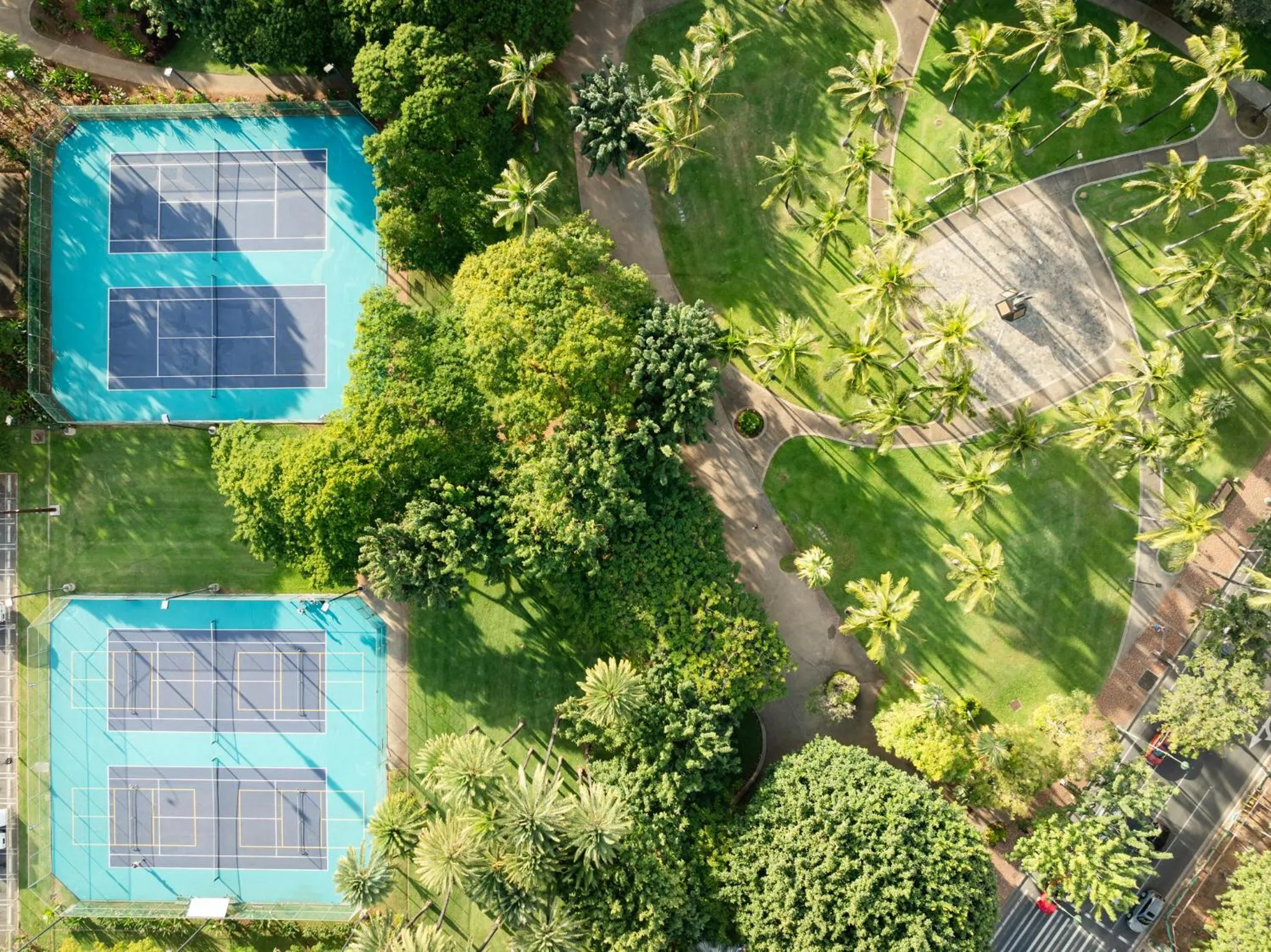 Natural landscape in Luana Waikiki Hotel & Suites