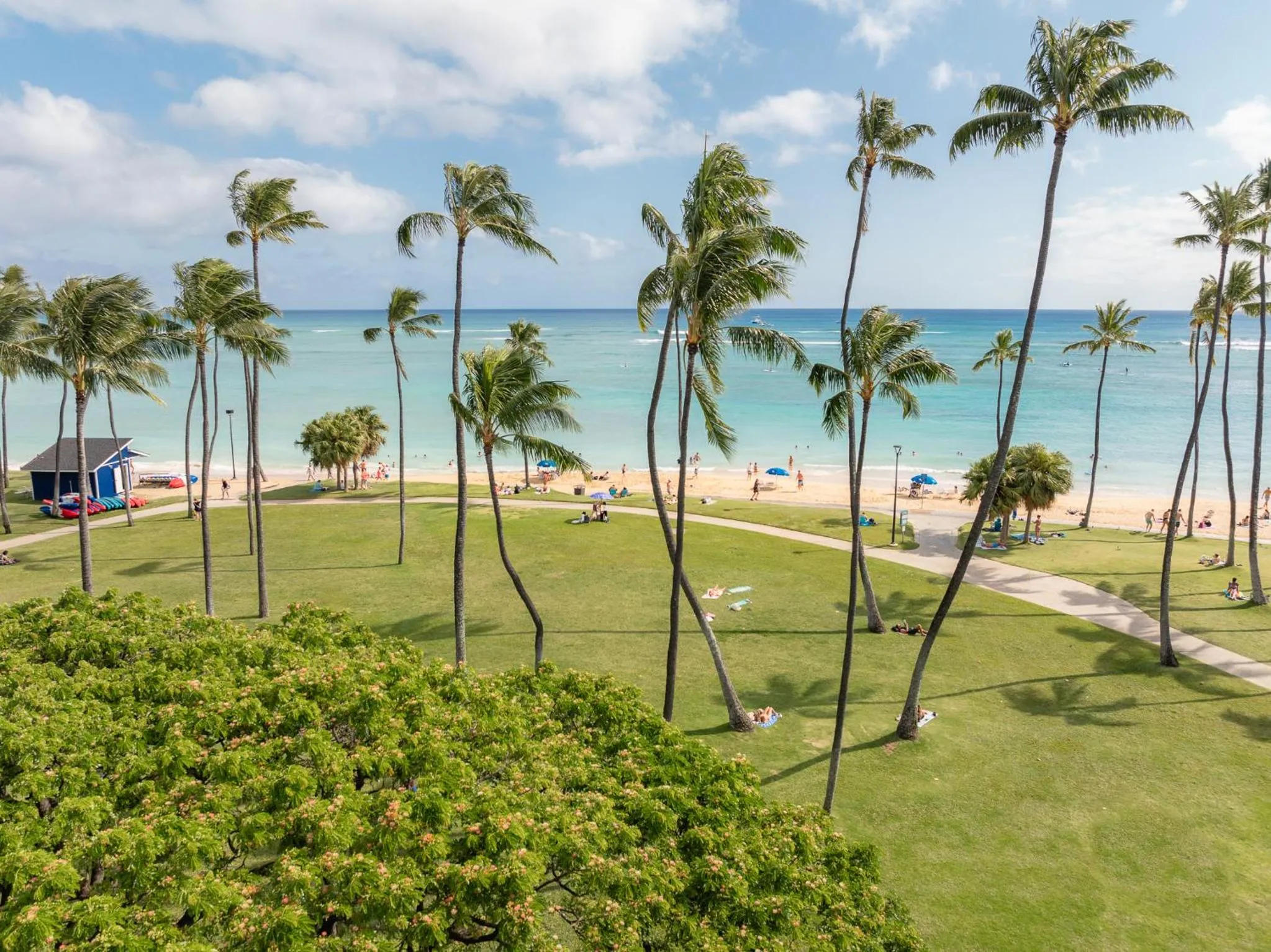 Beach in Luana Waikiki Hotel & Suites