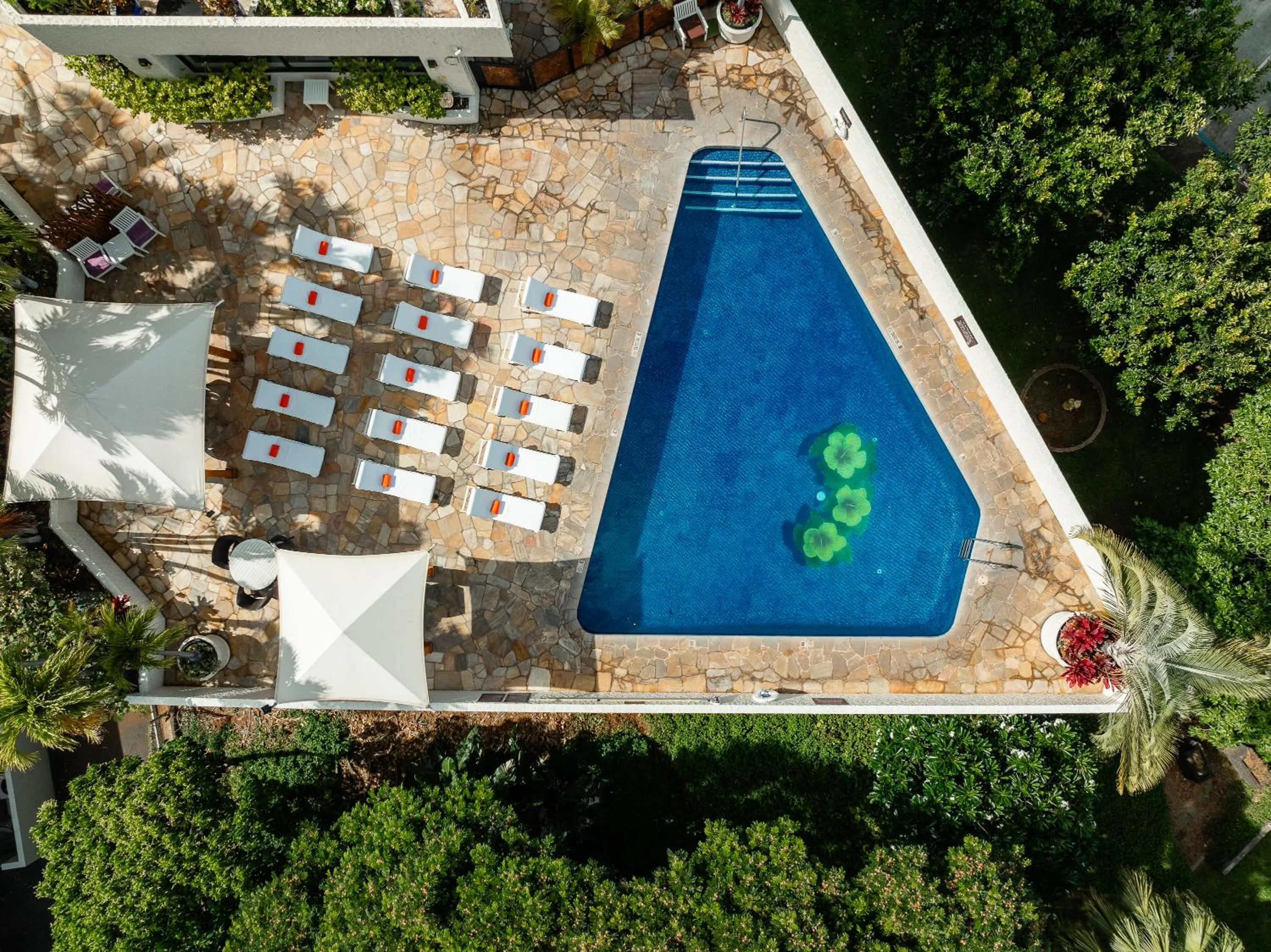Swimming pool in Luana Waikiki Hotel & Suites