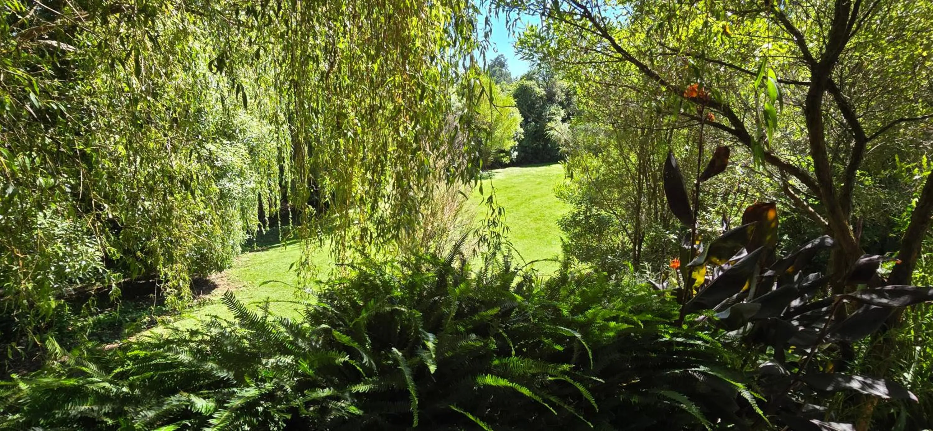 Natural landscape in The Rocks Chalets
