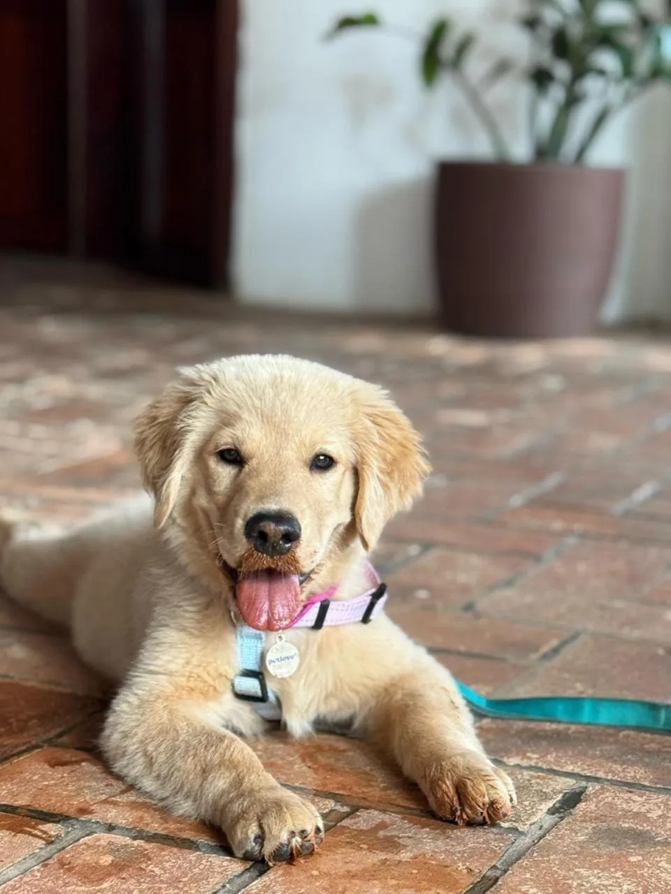 Pousada Ponta dos Corais