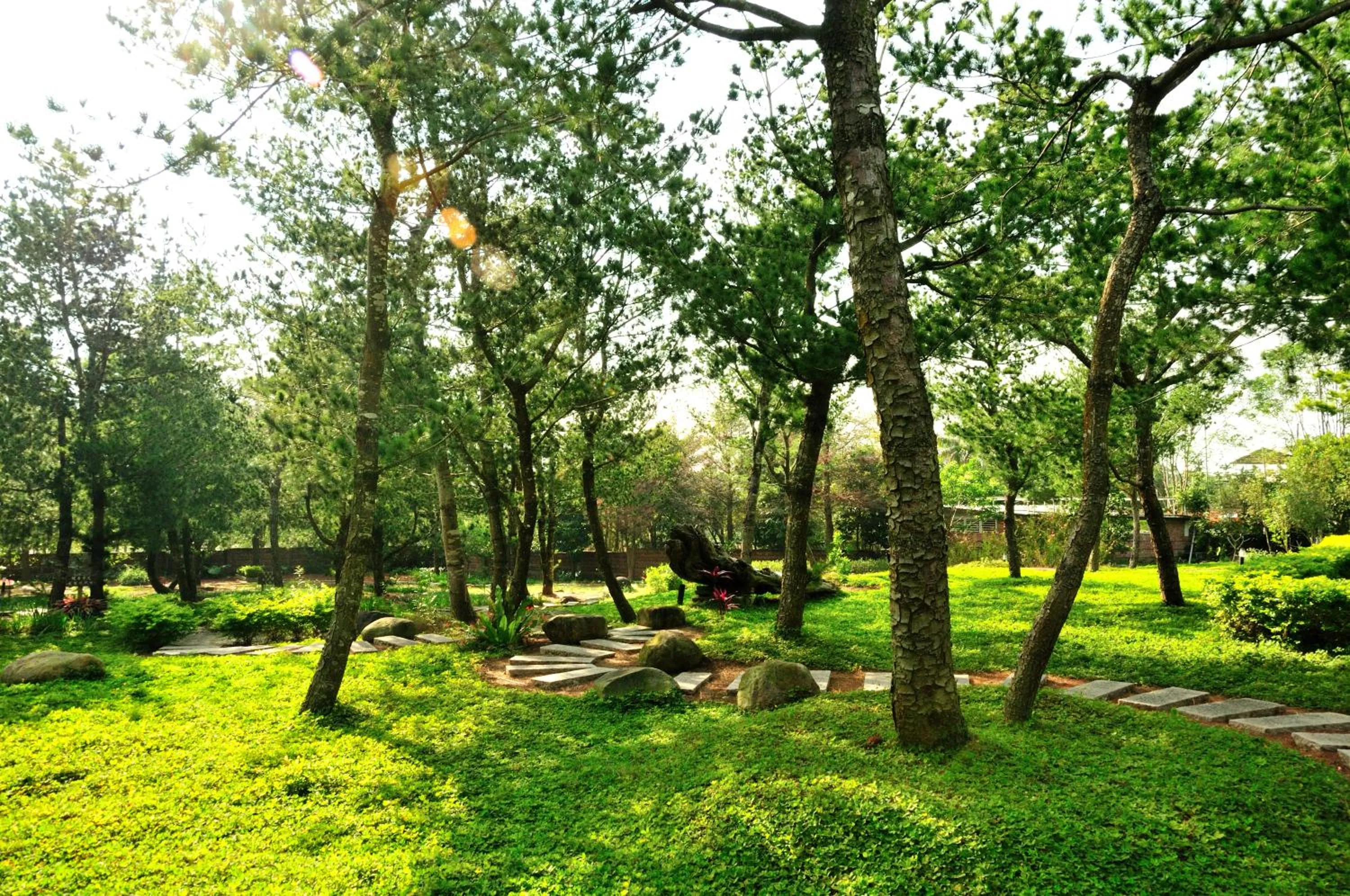 Garden in Zen and Pine Resort