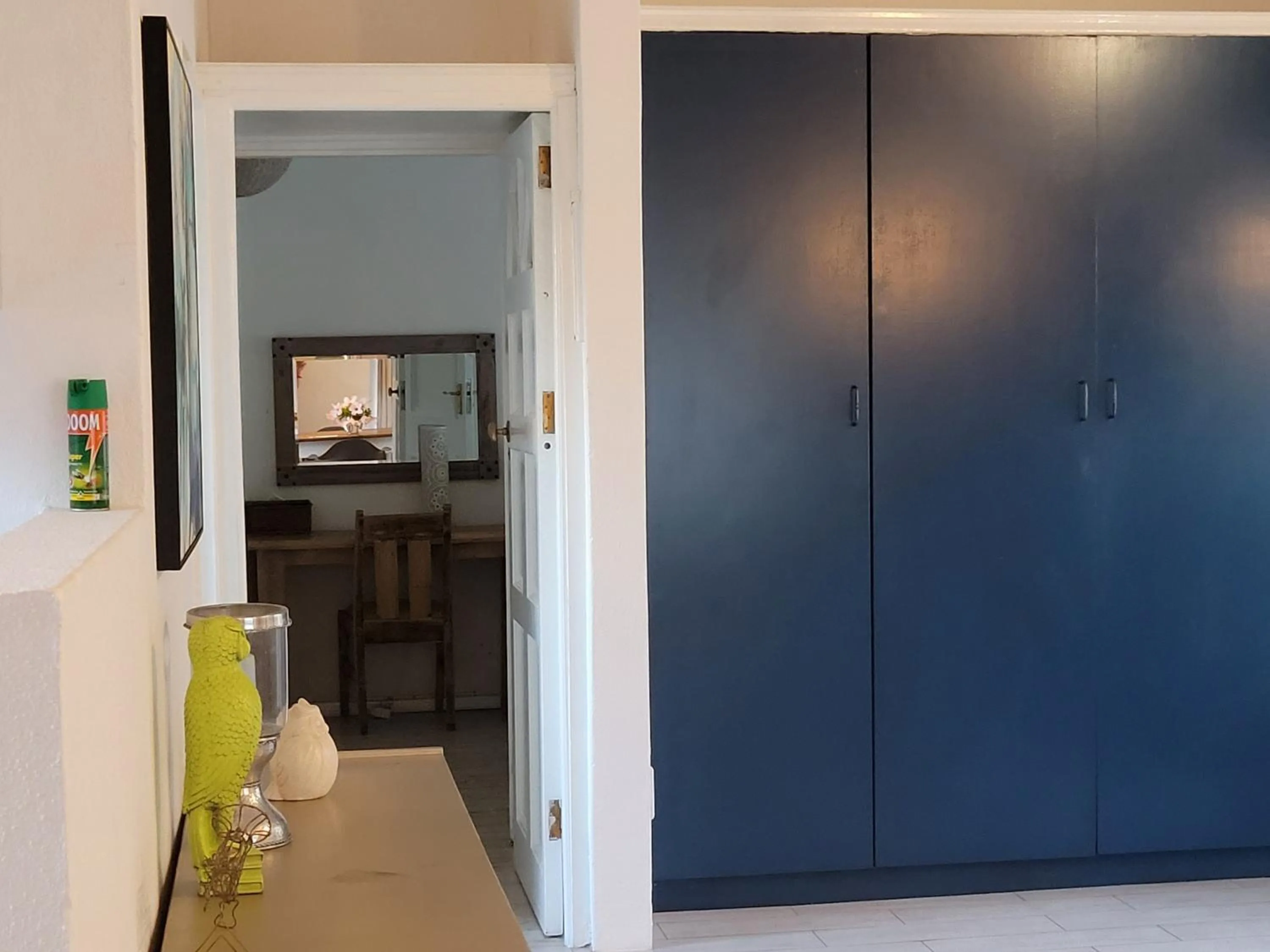 flat iron in De Molen Guest House