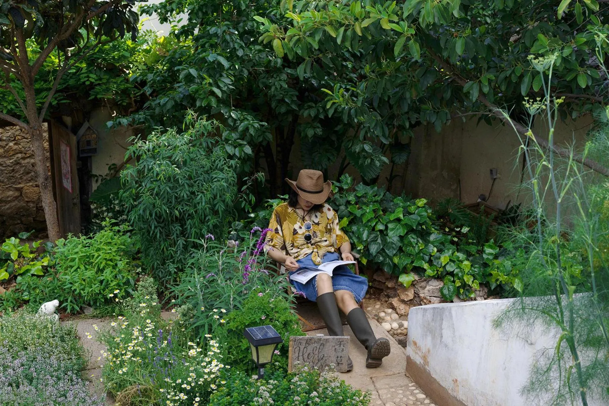 Garden in The Bivou Lijiang