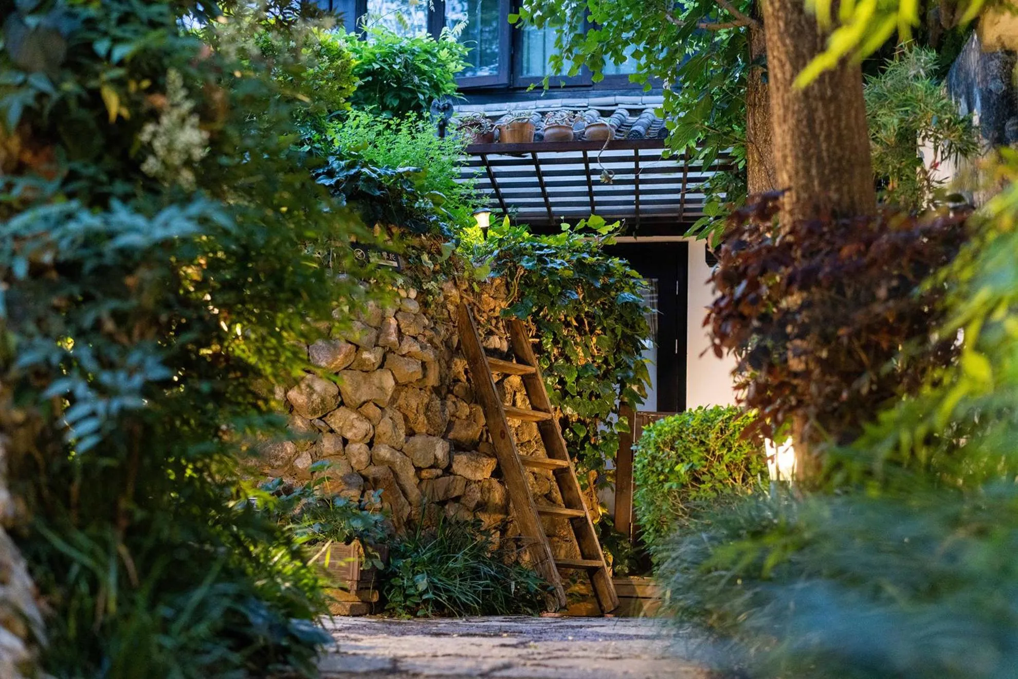 Garden in The Bivou Lijiang