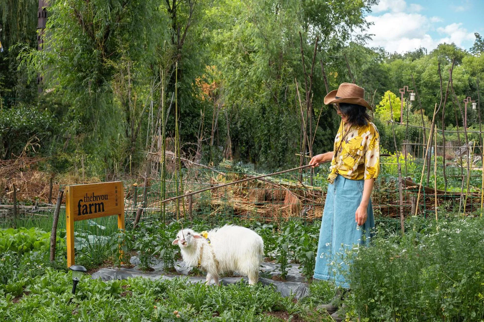 Animals in The Bivou Lijiang