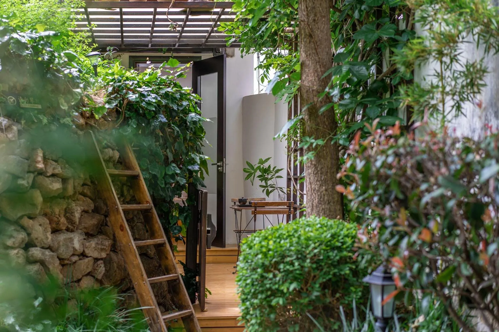 Garden in The Bivou Lijiang