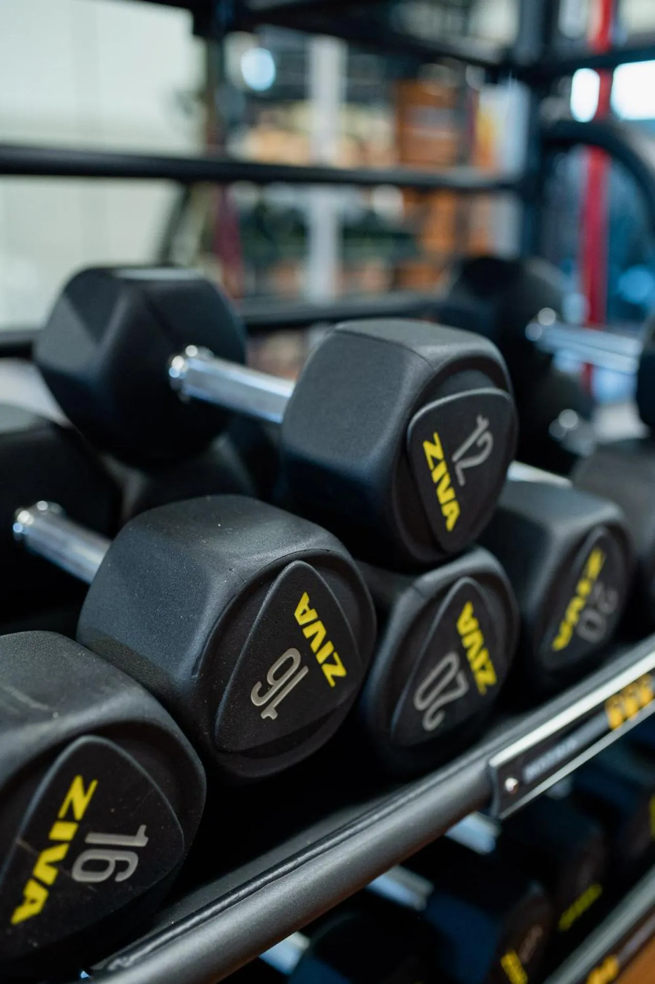 Fitness centre/facilities in Belstay Milano Assago