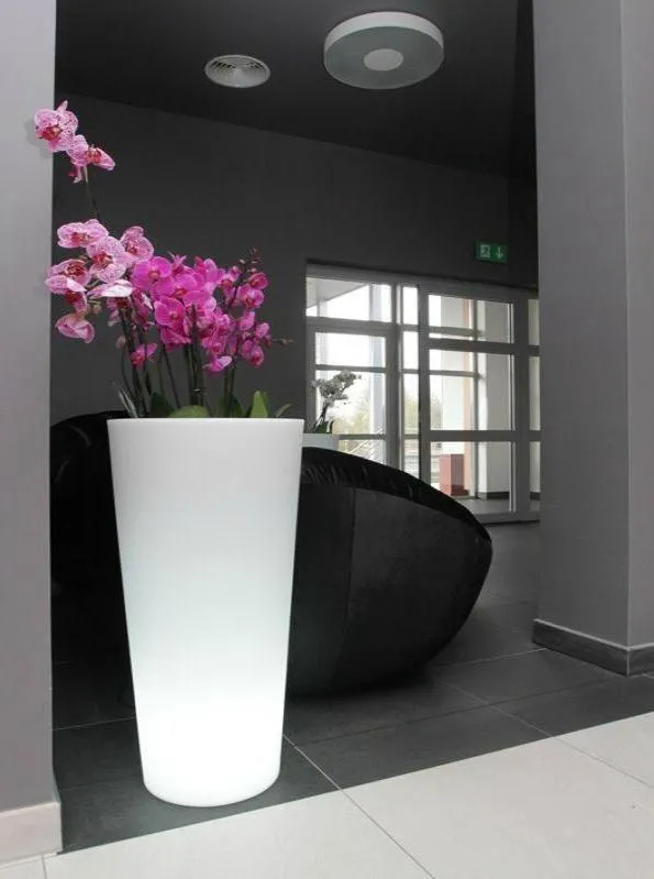 Lobby or reception in Hotel Europa