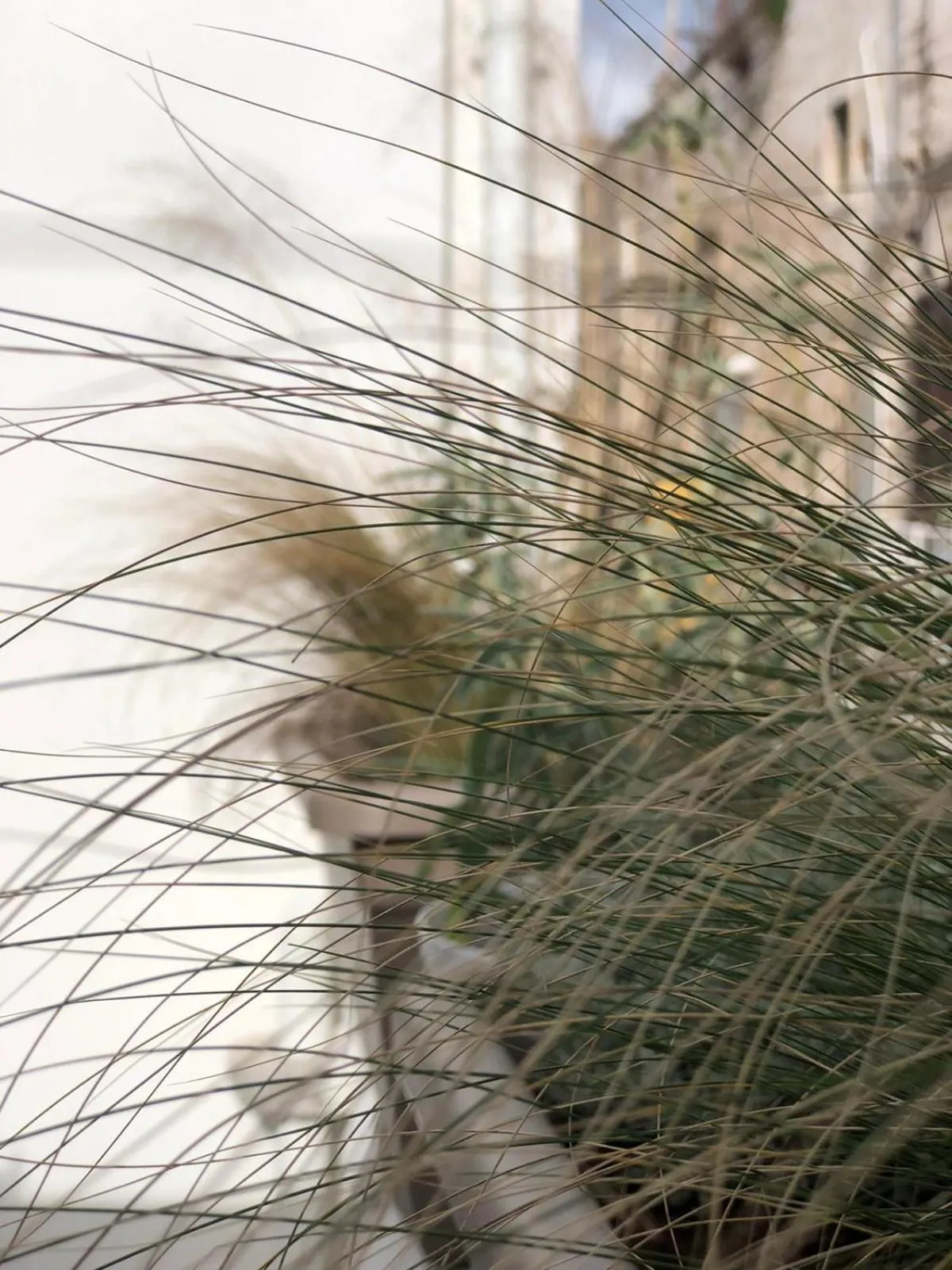 Property building in Paso a Paso