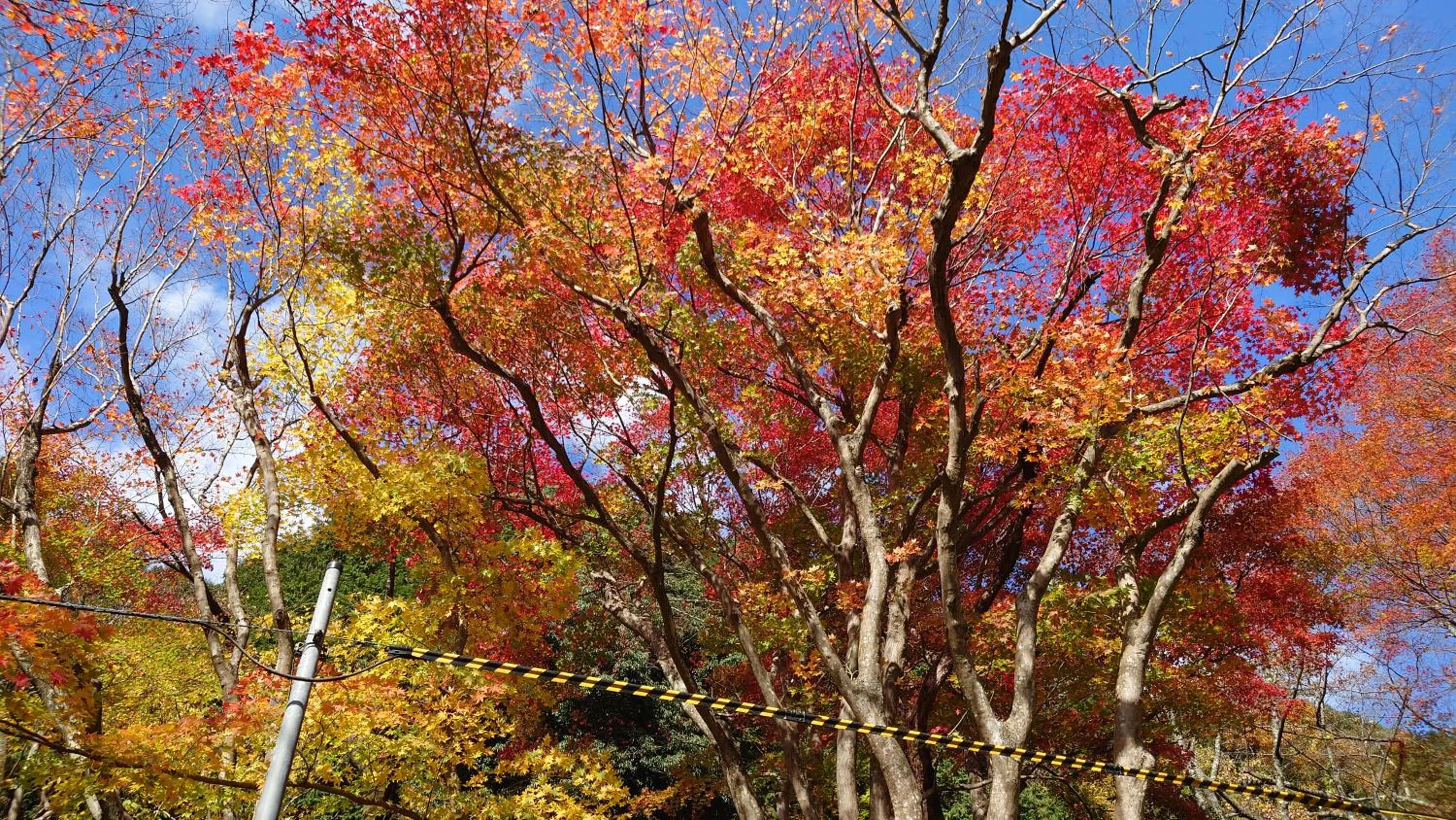 Property building in ゲストハウス あずも GuestHouse AZMO