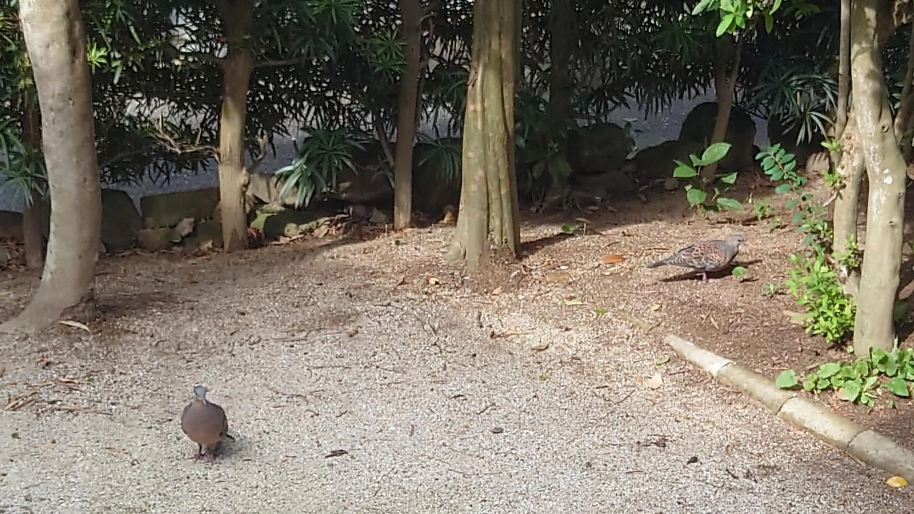 Property building in ゲストハウス あずも GuestHouse AZMO