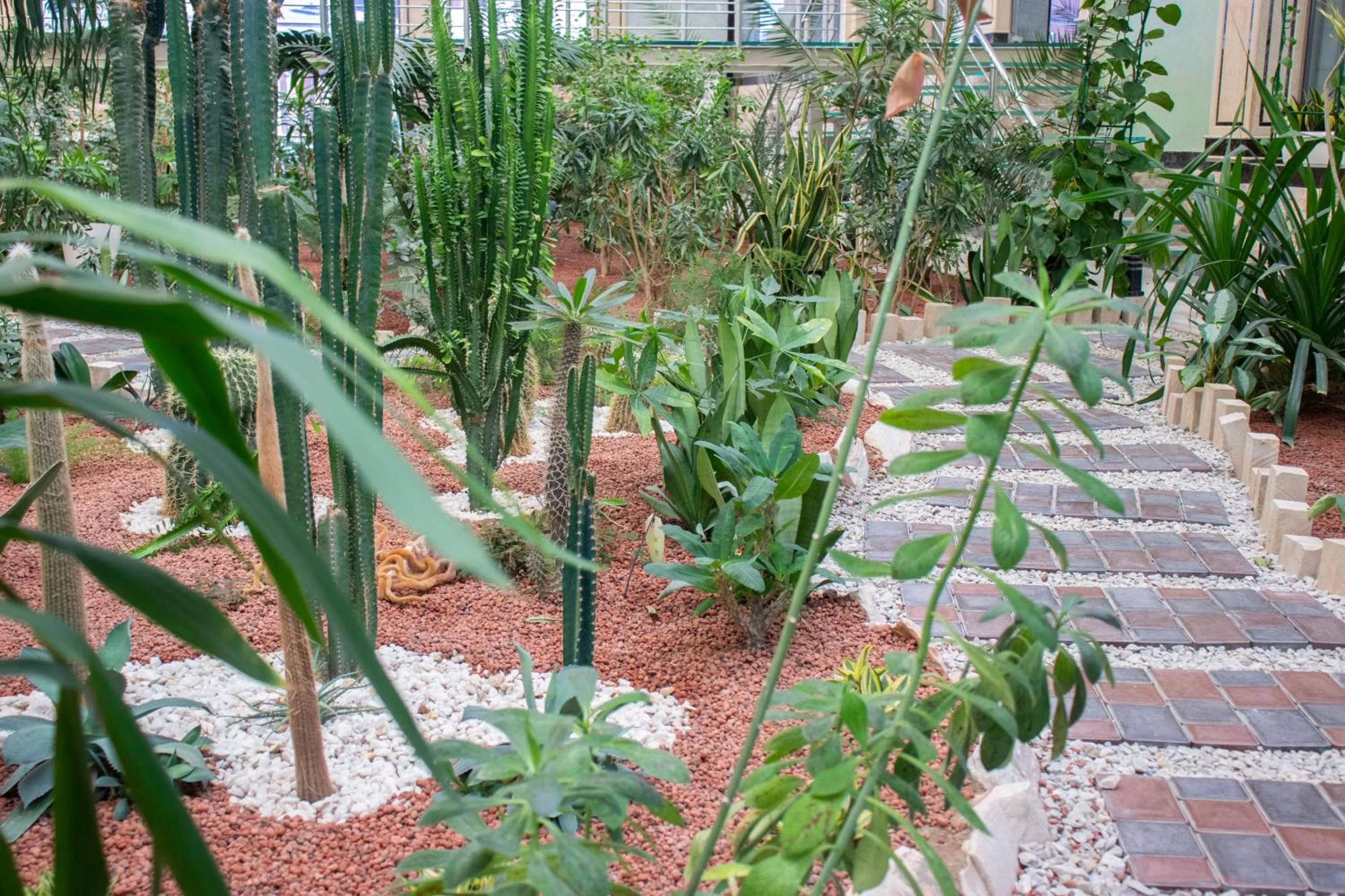 Spring in Garden Plaza Bukhara