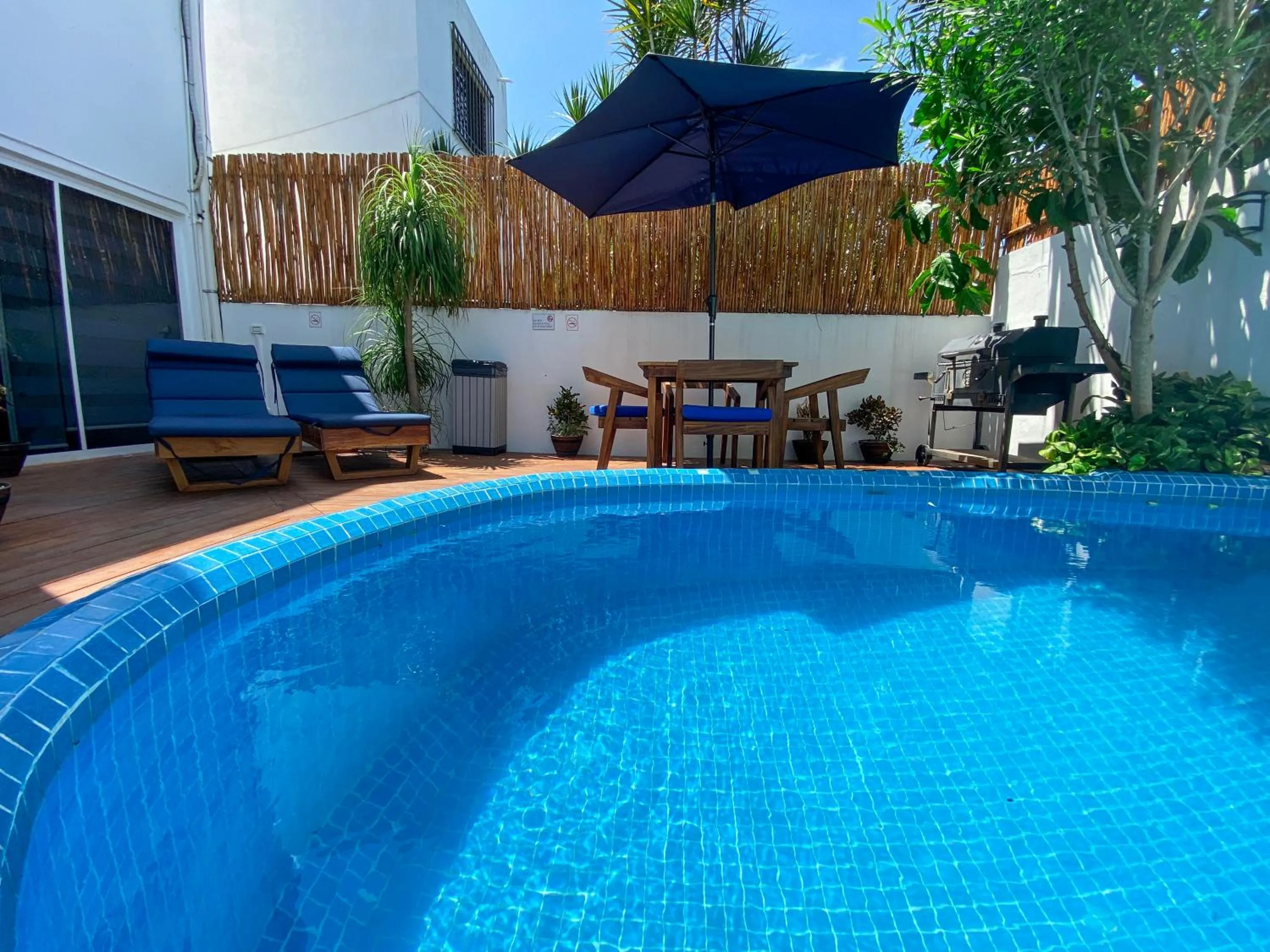 Swimming pool in Villa Sofia Boutique Hotel - Near Cancun Downtown - Free Cancellation