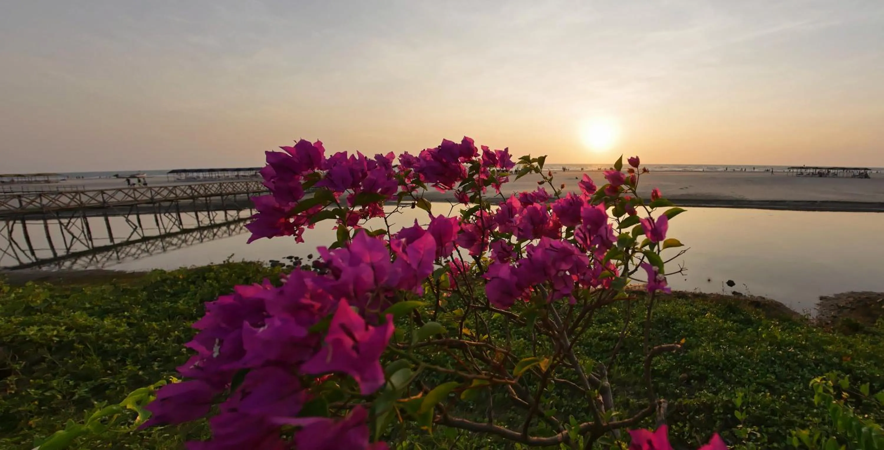 Patio in Beach Street Eco Resort - Mandrem