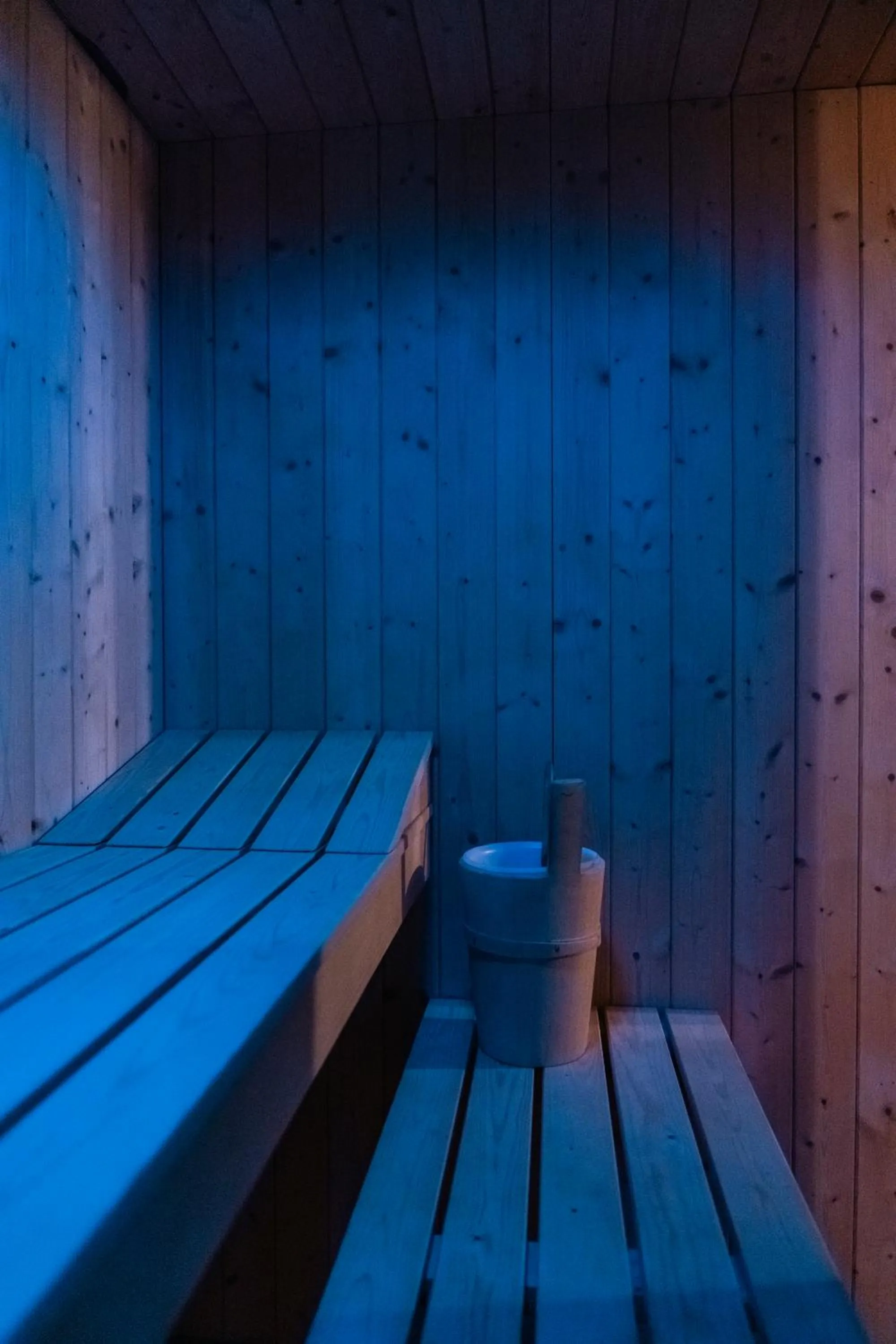 Sauna, Bed in Hotel Rosa