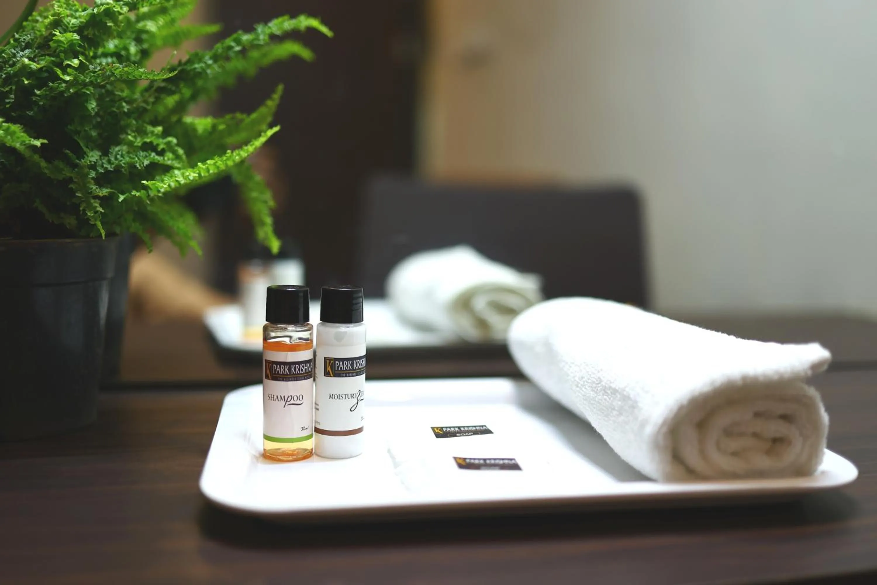 towels in HOTEL PARK KRISHNA