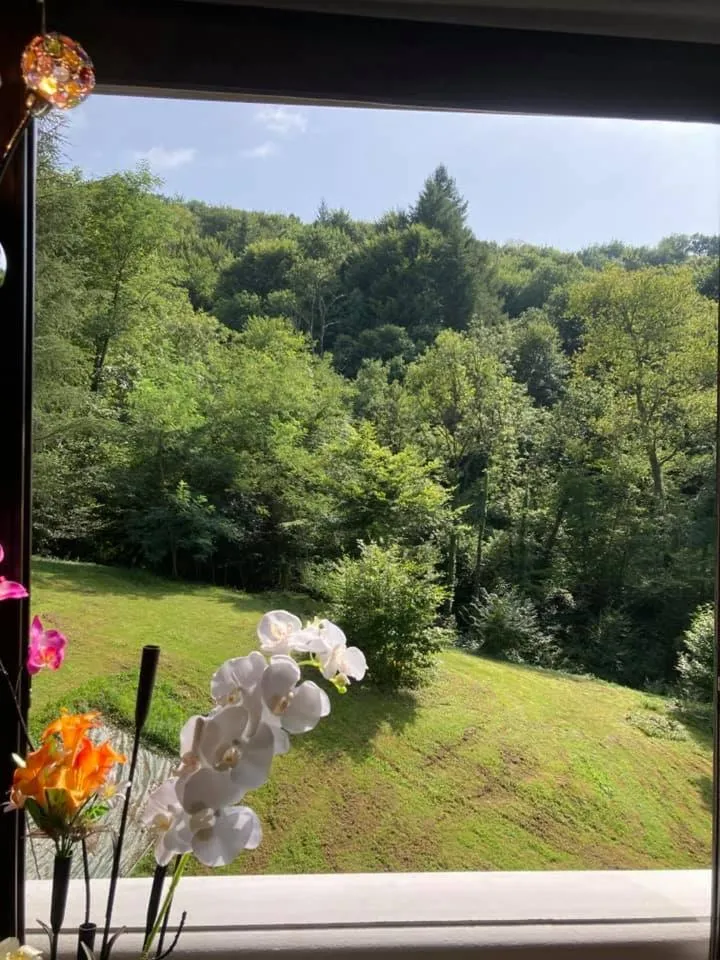 Garden in L'AUBERGE DE LA GOUTILLE