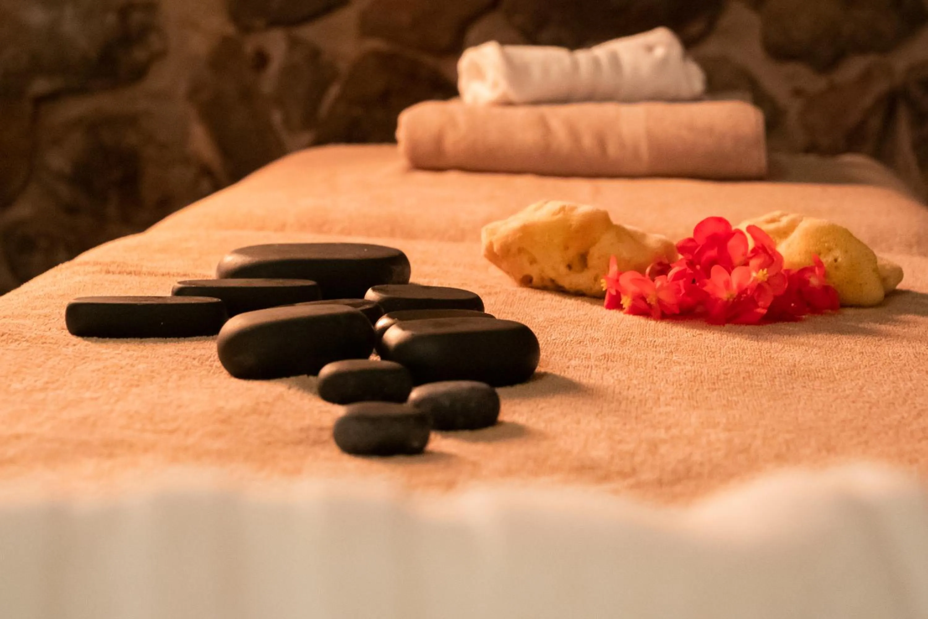 Spa and wellness centre/facilities in Hotel Central Wellness