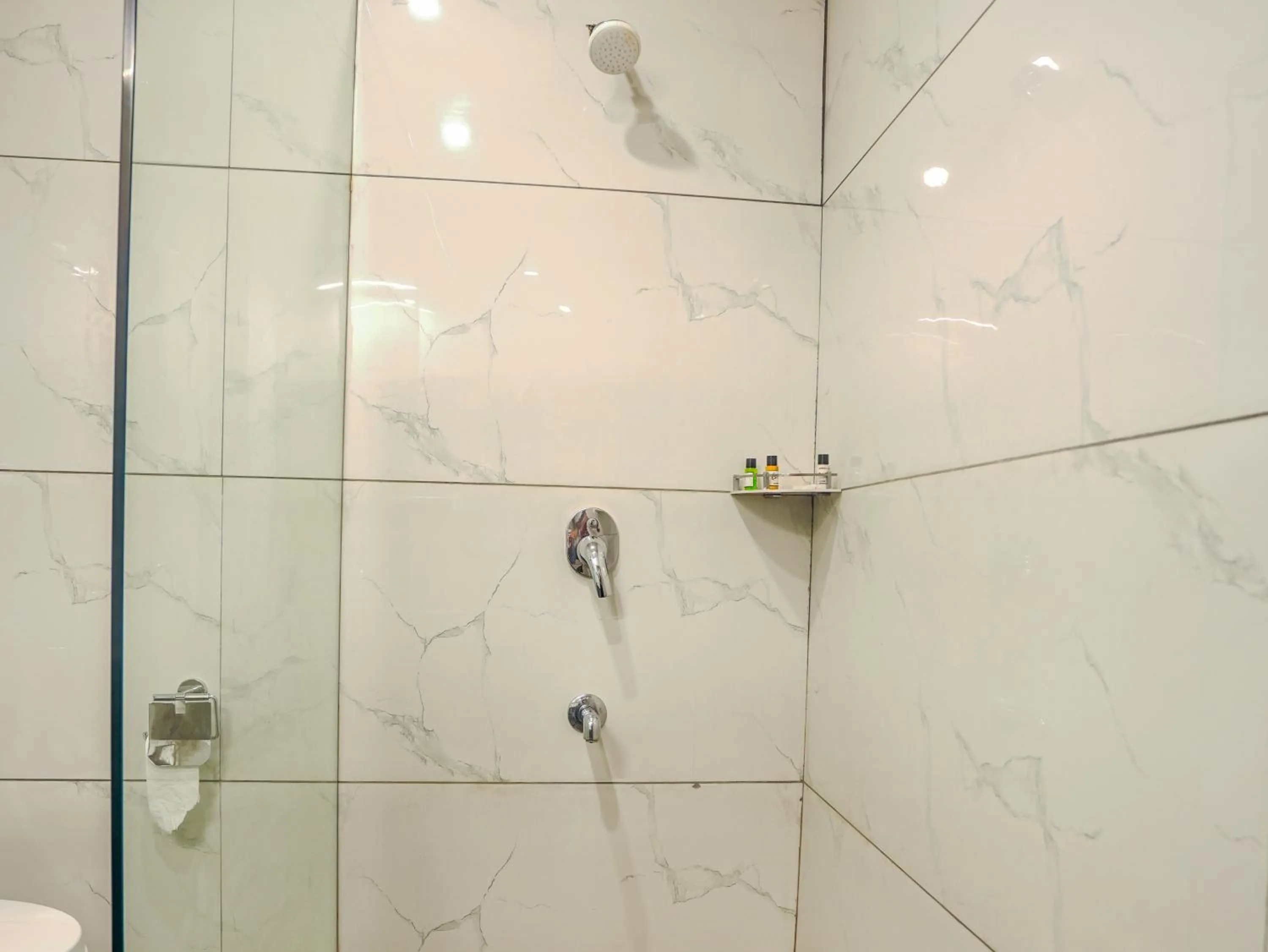 Shower in AAJ HAVELI - Pichola Lake Facing Hotel