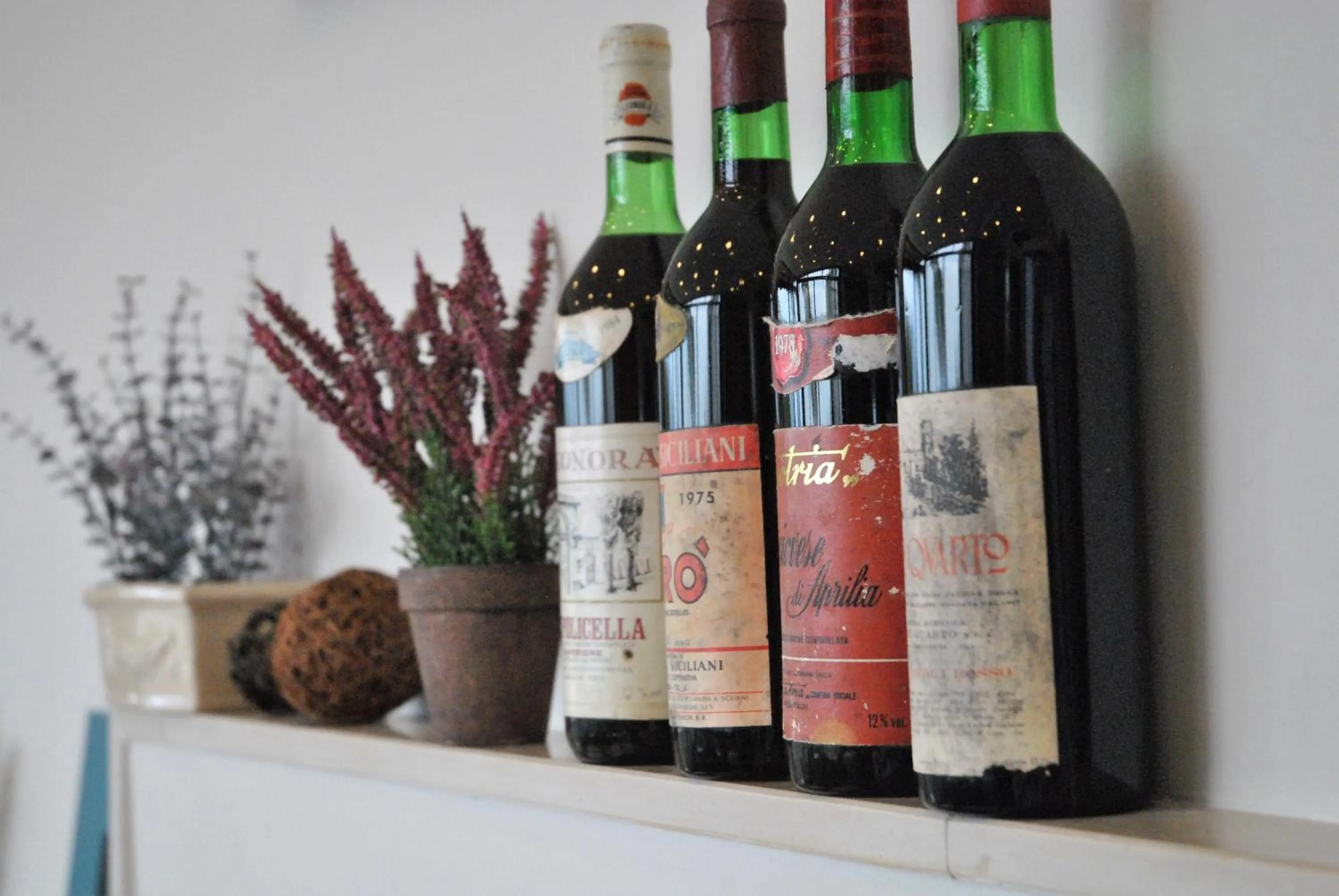 Lounge or bar in Hotel Villa Fiorita