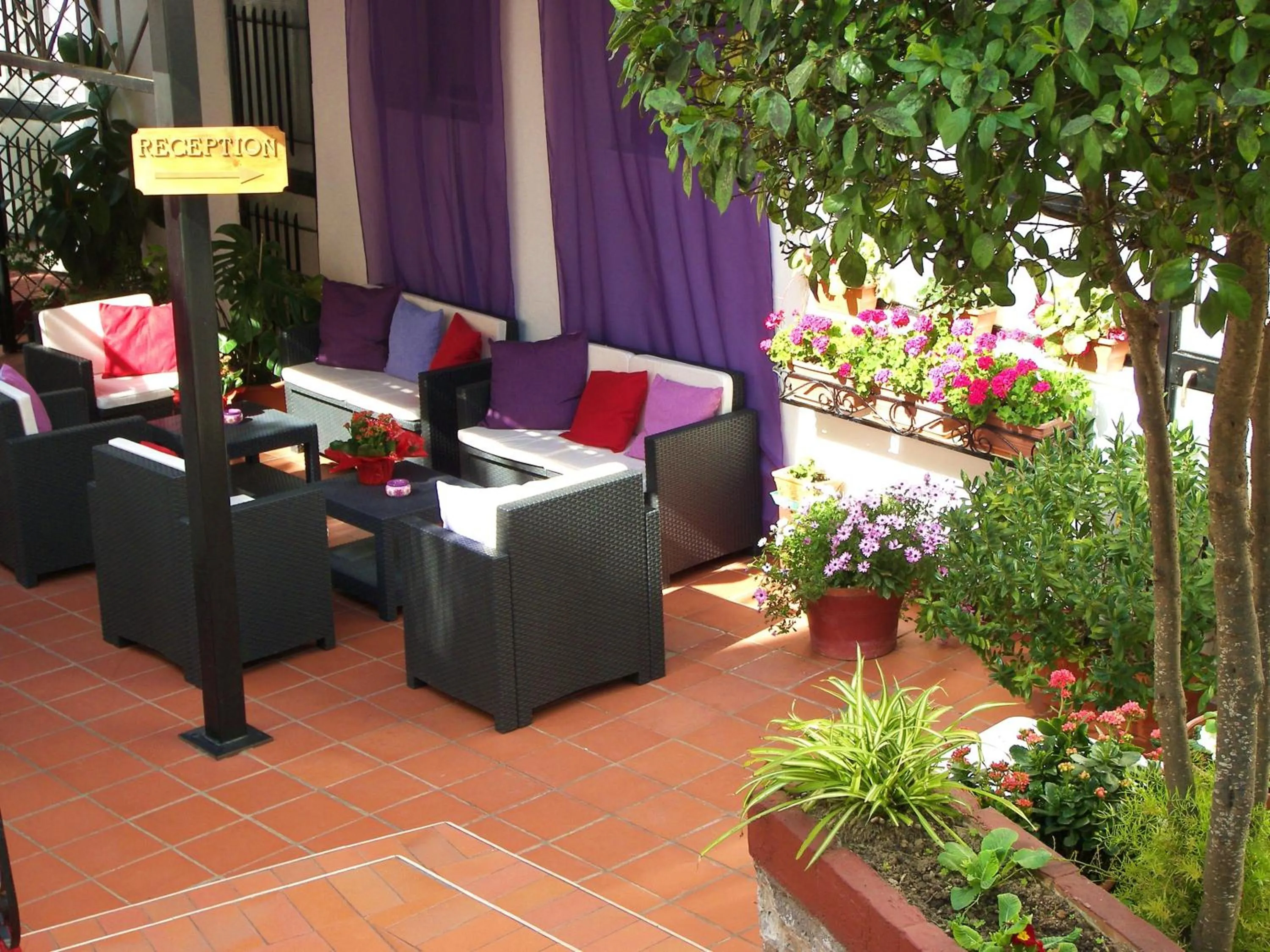 Balcony/Terrace in Hotel Villa Fiorita