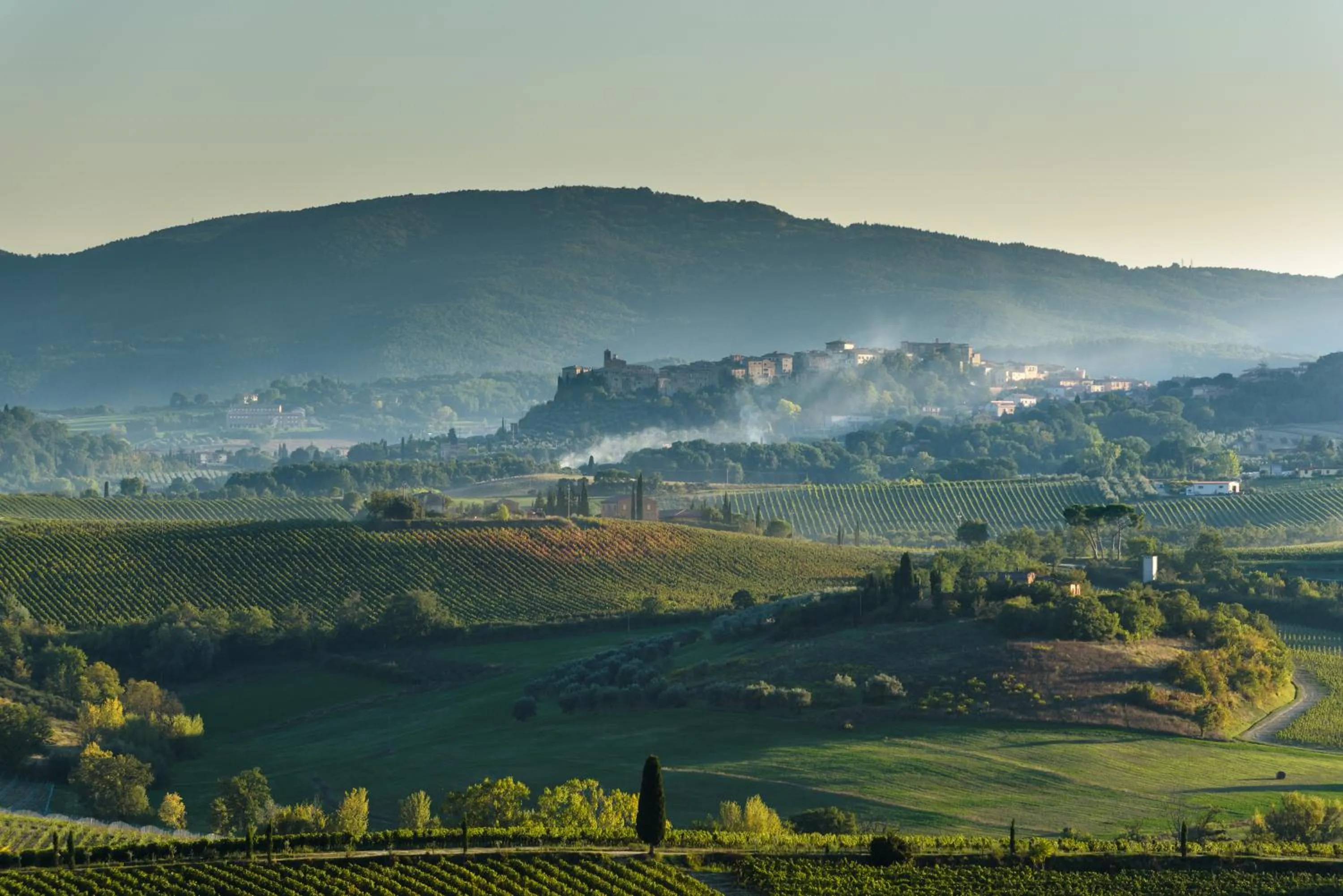 View (from property/room) in La Casa Delle Querce