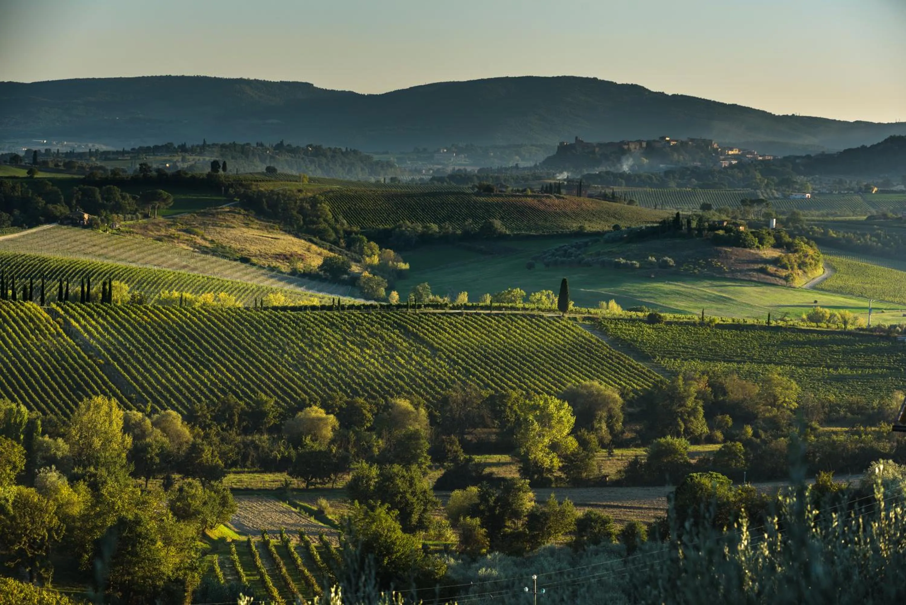 View (from property/room) in La Casa Delle Querce