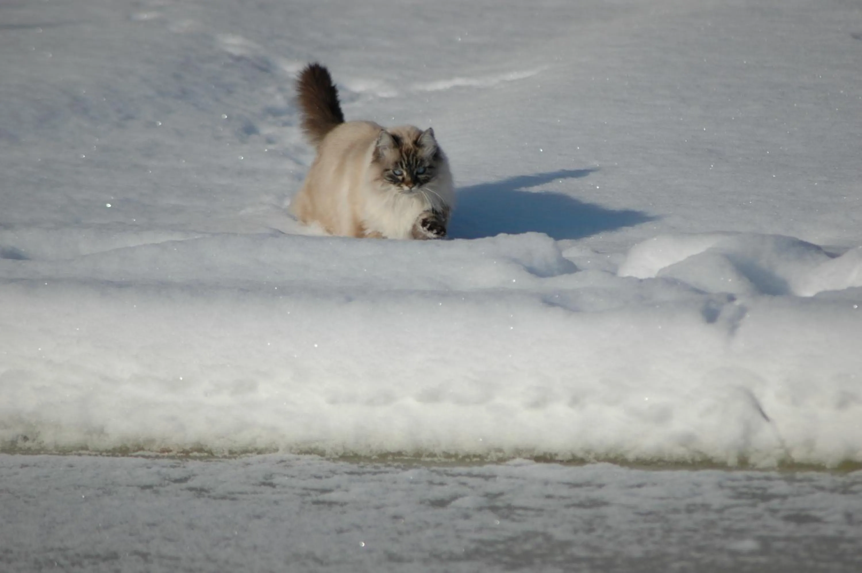Winter in La Casa Delle Querce